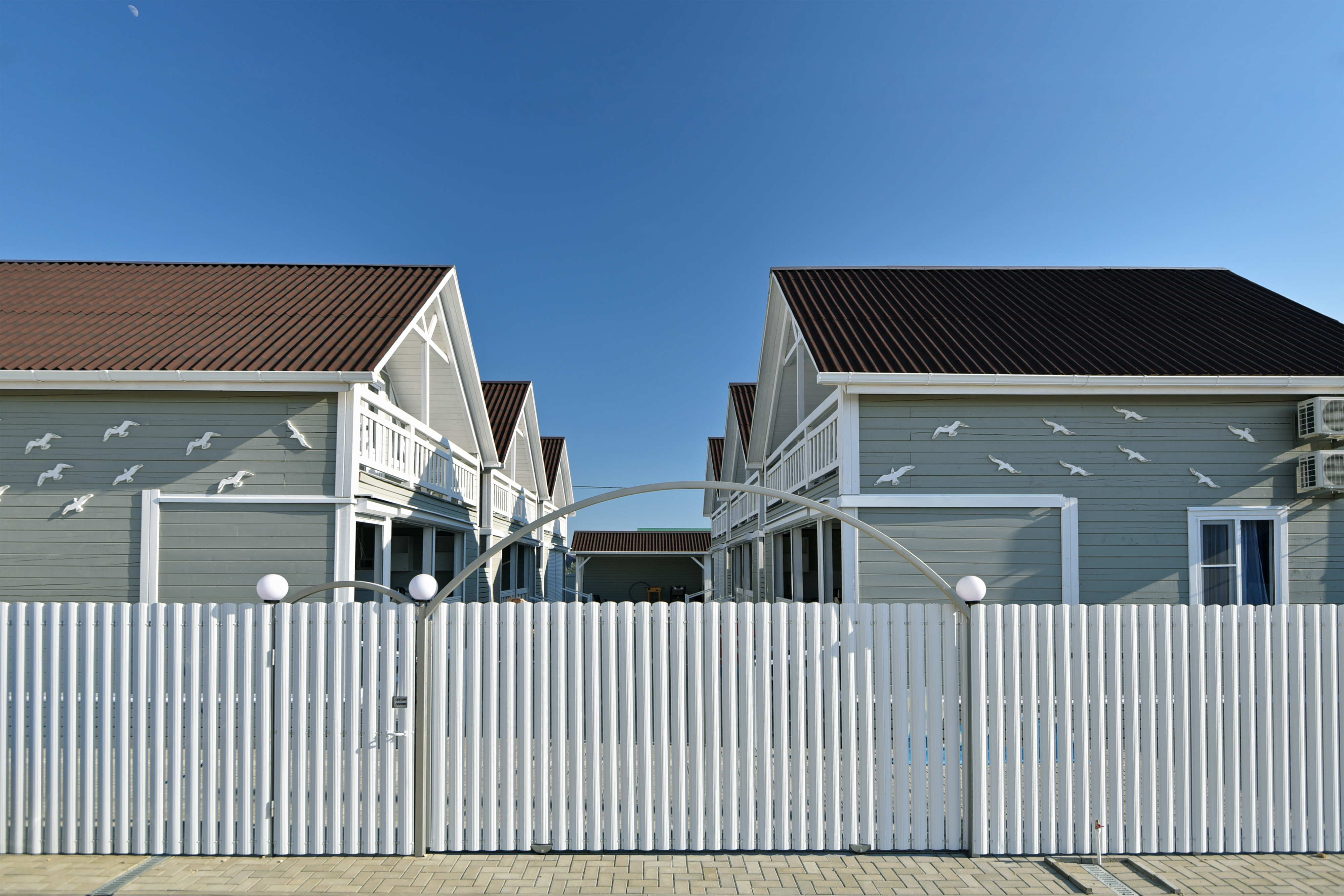 Фото Азовская чайка