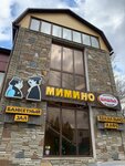 Mimino (Kamensk-Shakhtinskiy, ulitsa Lenina, 88), cafe