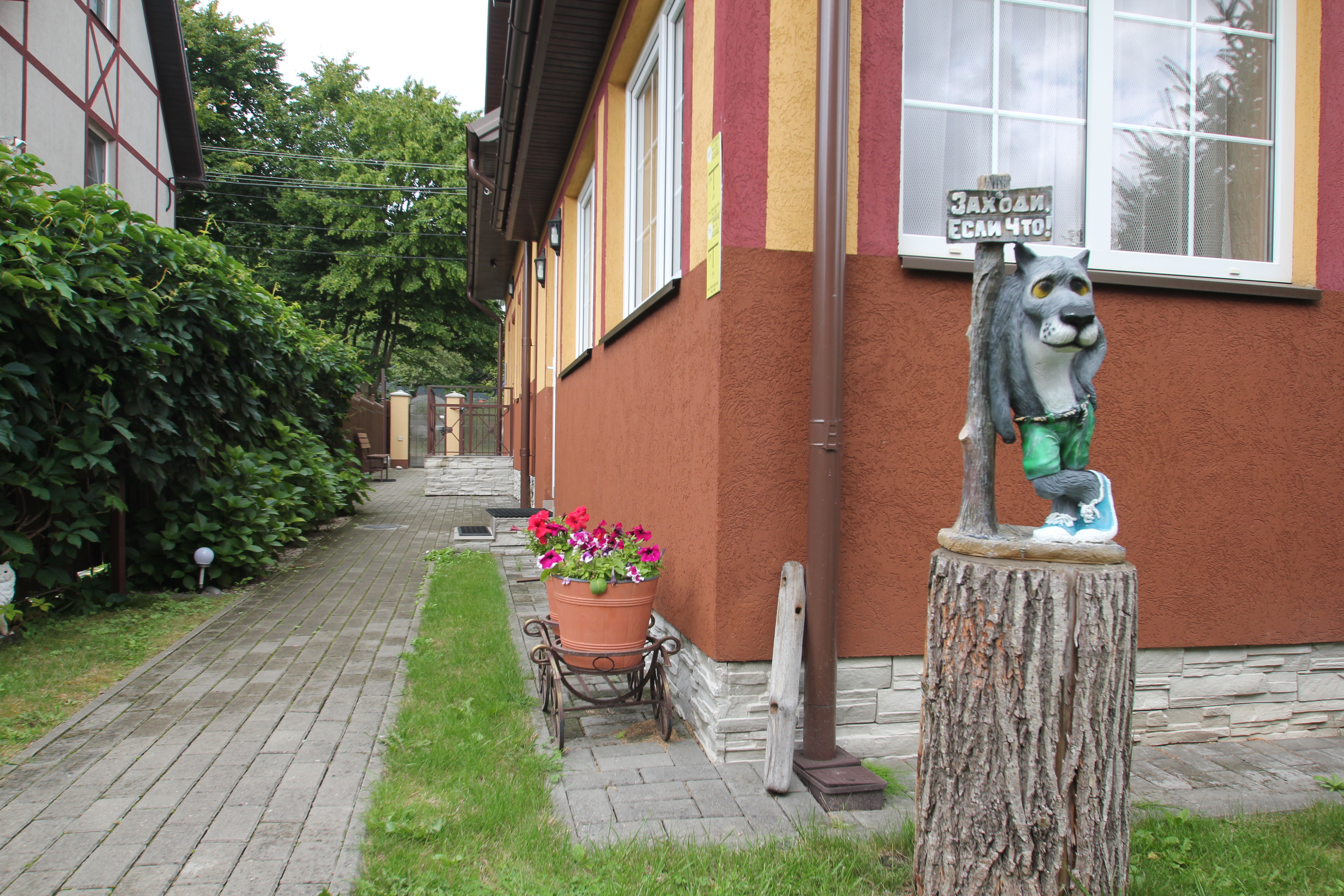 Фото Дикий берег