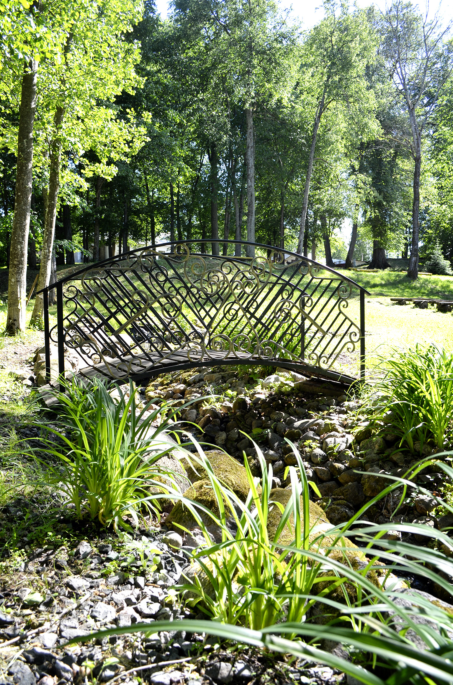 Фото Мишкина дача