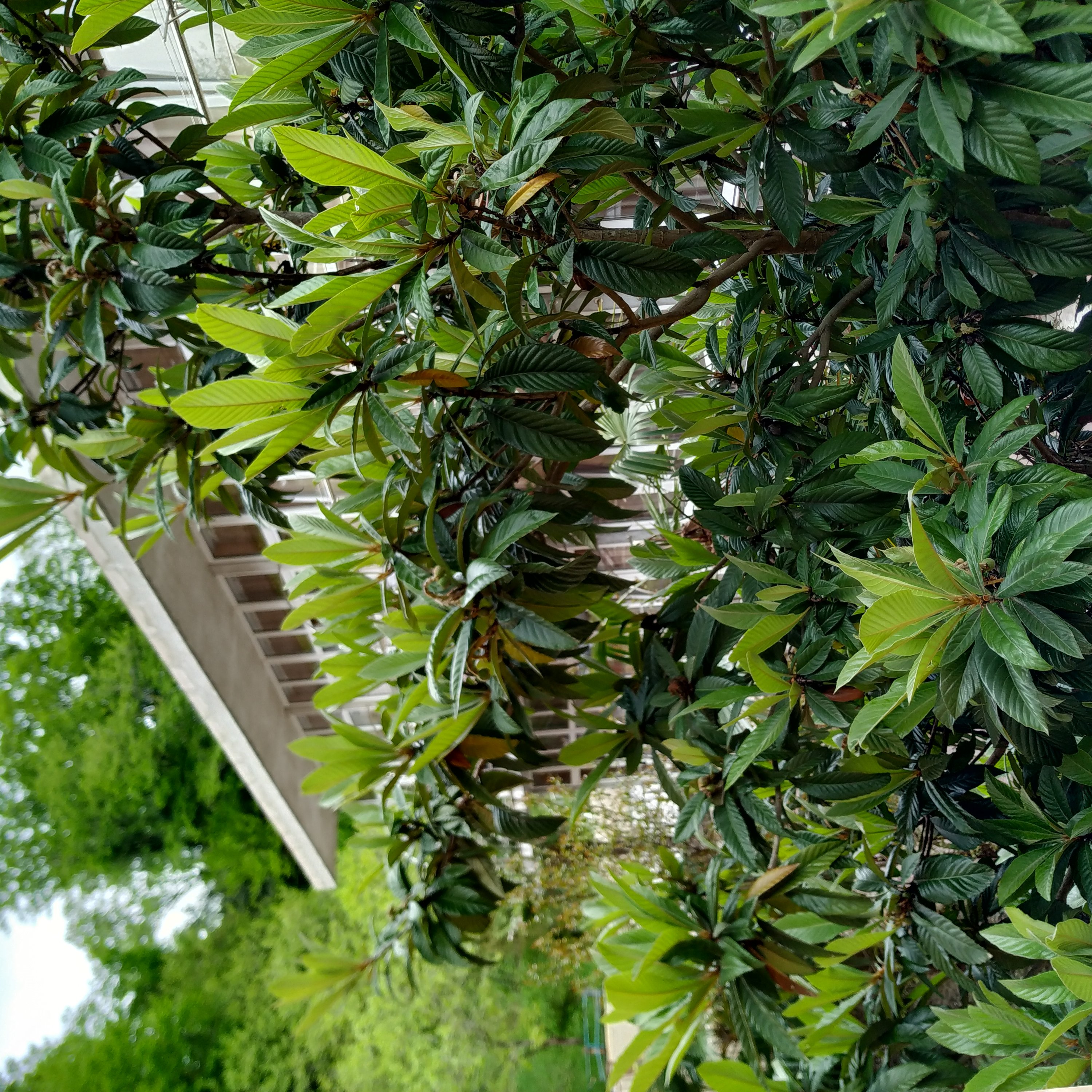 Фото Алоиза