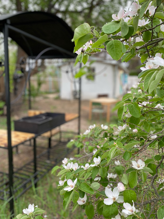 Фото Домик в Лотосах