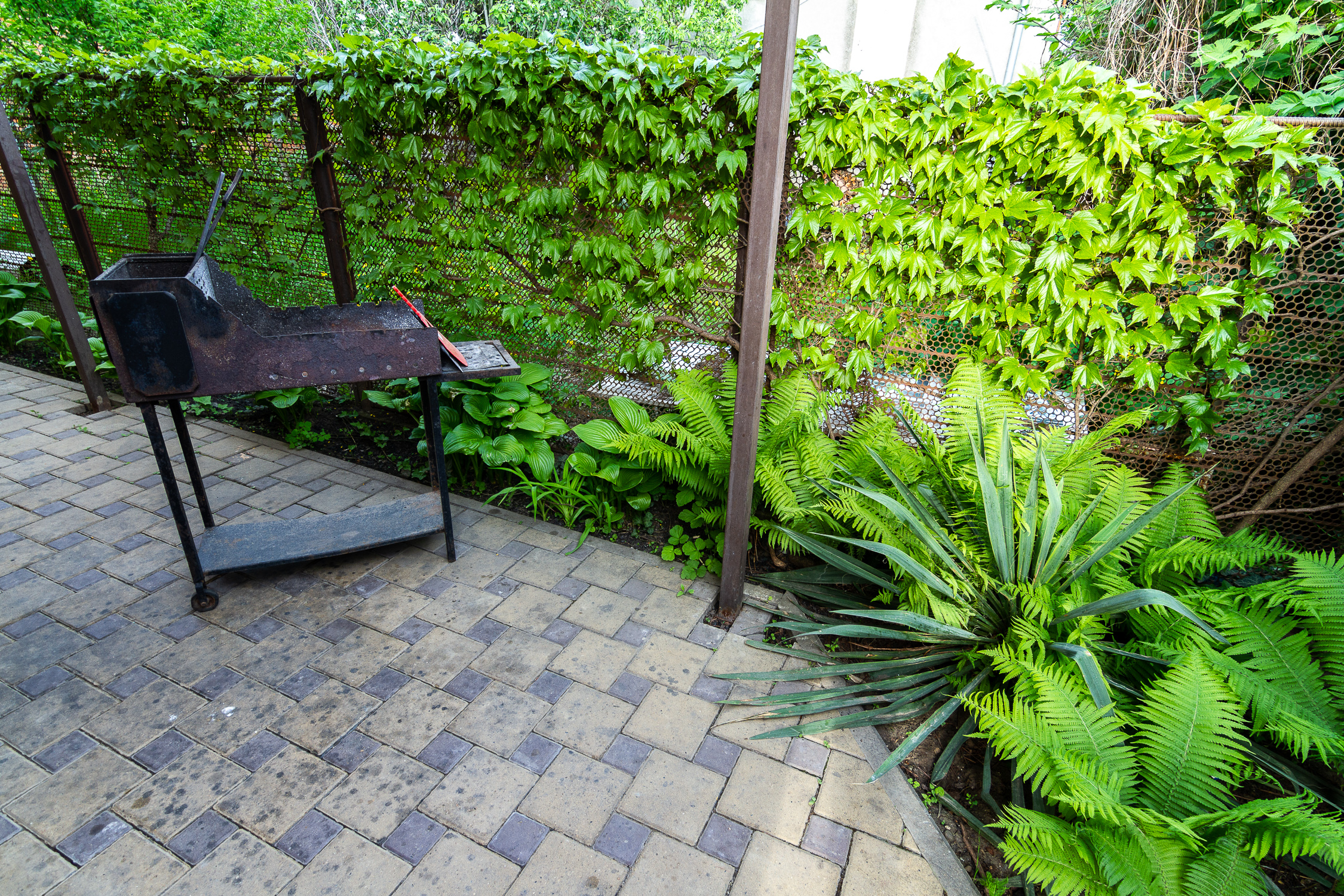 Фото Наталисити