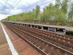 Elektrougli Station (Moscow Region, Bogorodskiy Urban District, Elektrougli), train station