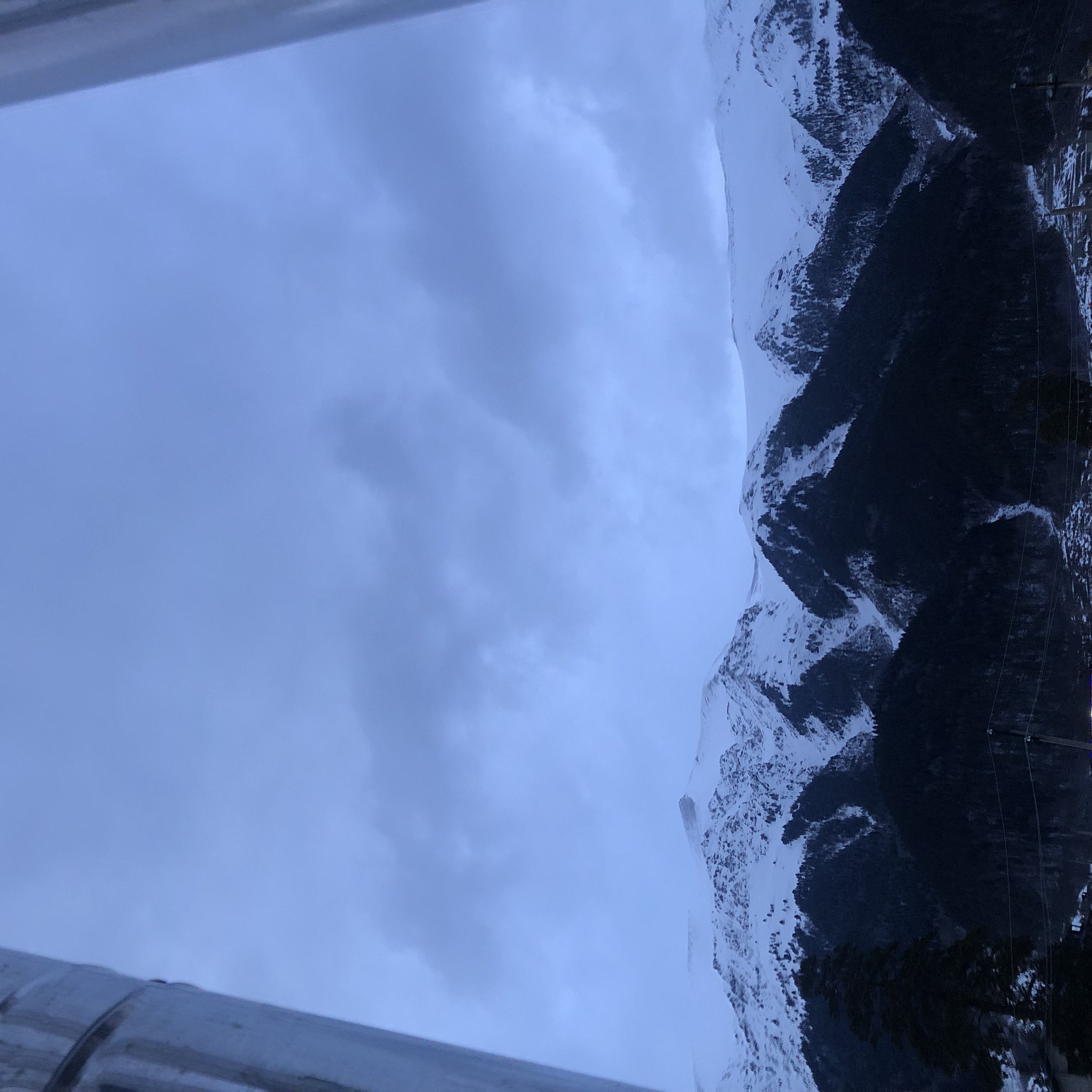 Фото Фаворит