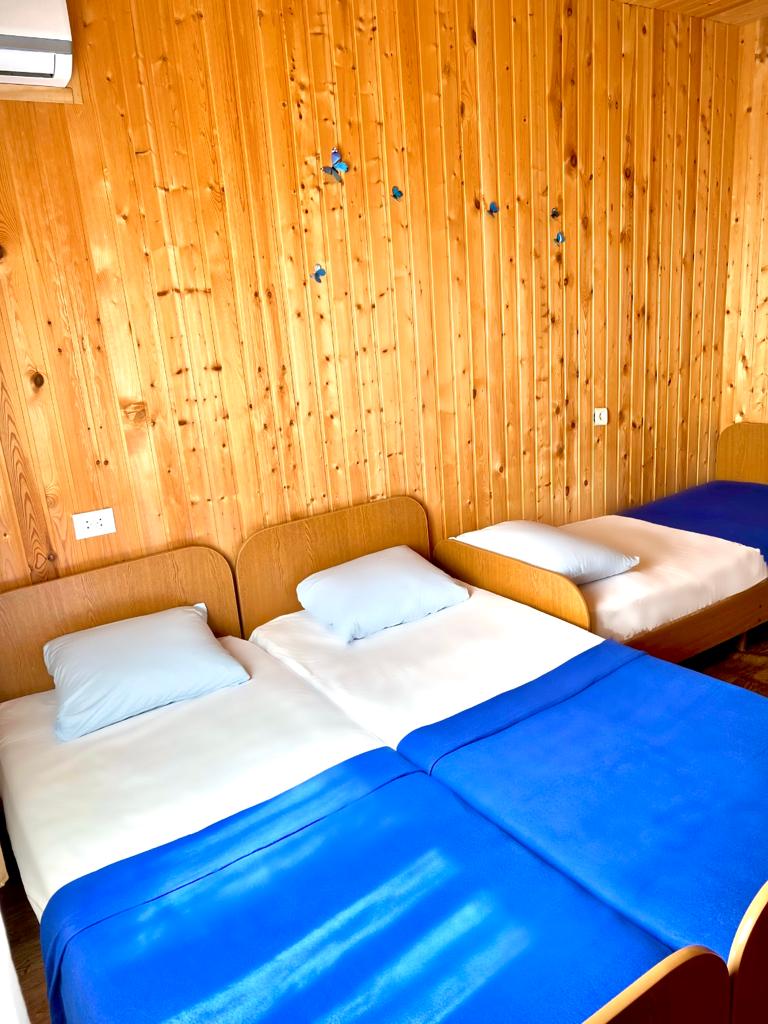 Фото Ласточка