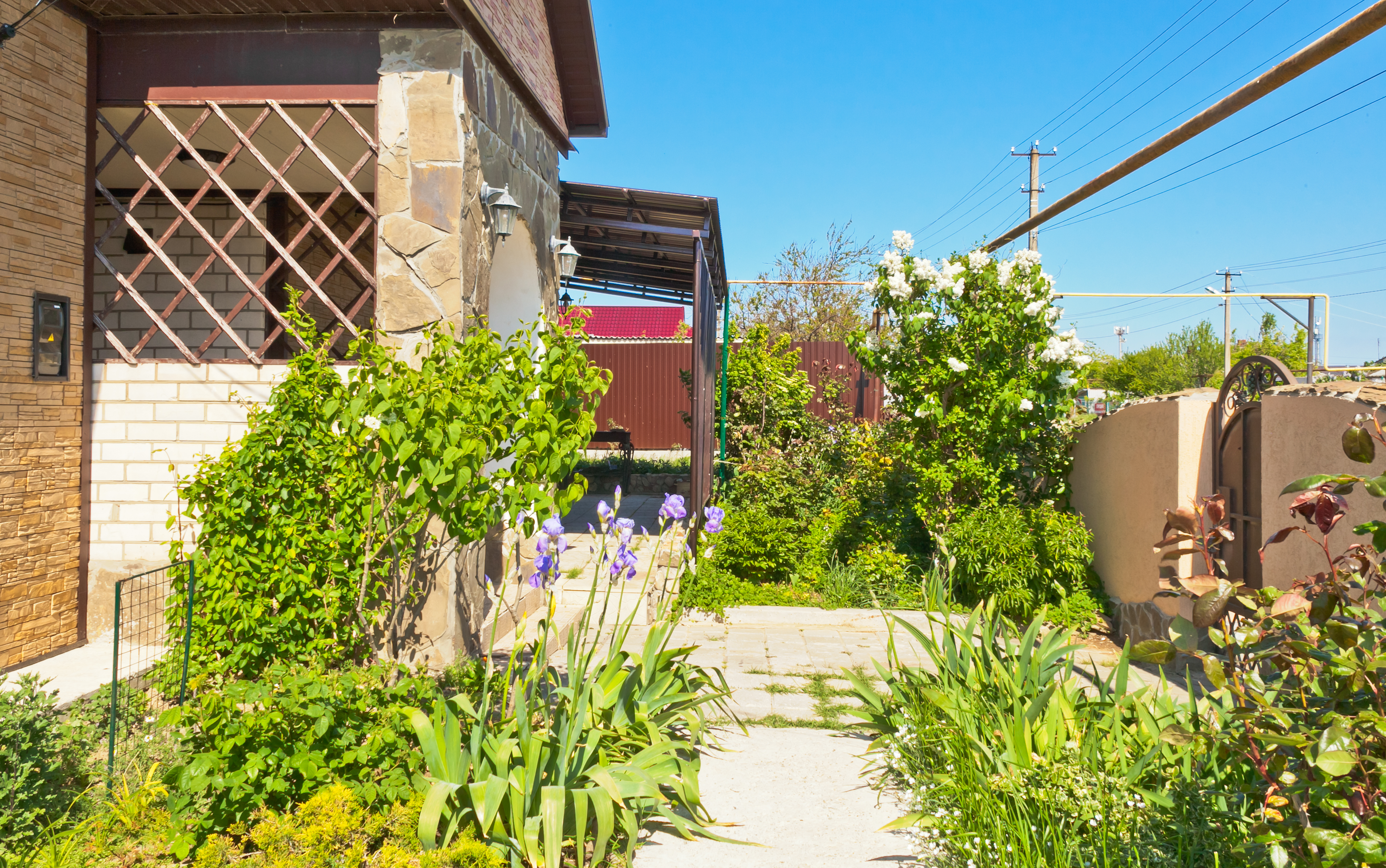 Фото Дом Ленивый Дельфин