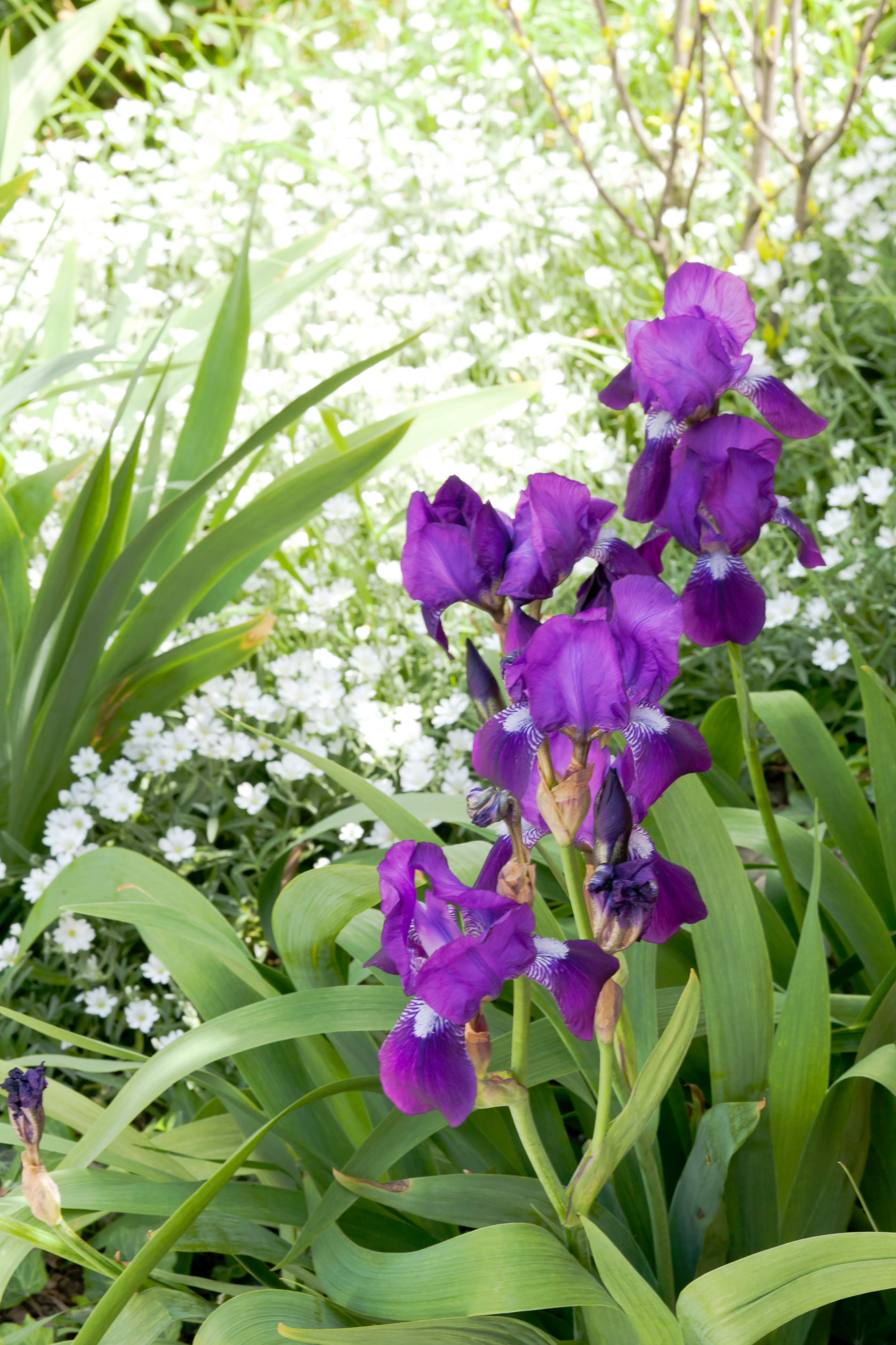 Фото Дом Ленивый Дельфин