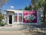 Цветы (Kirovskiy City Administrative District, Zatulinskiy zhilmassiv, ulitsa Gromova, 7/1), floristeria