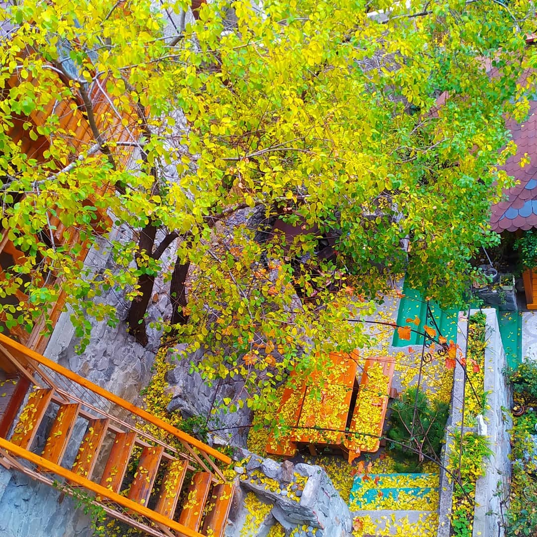 Фото Сувенир