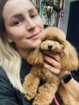 Groomlub (115-y kvartal, ulitsa Aviatorov, 4к2), pet salon