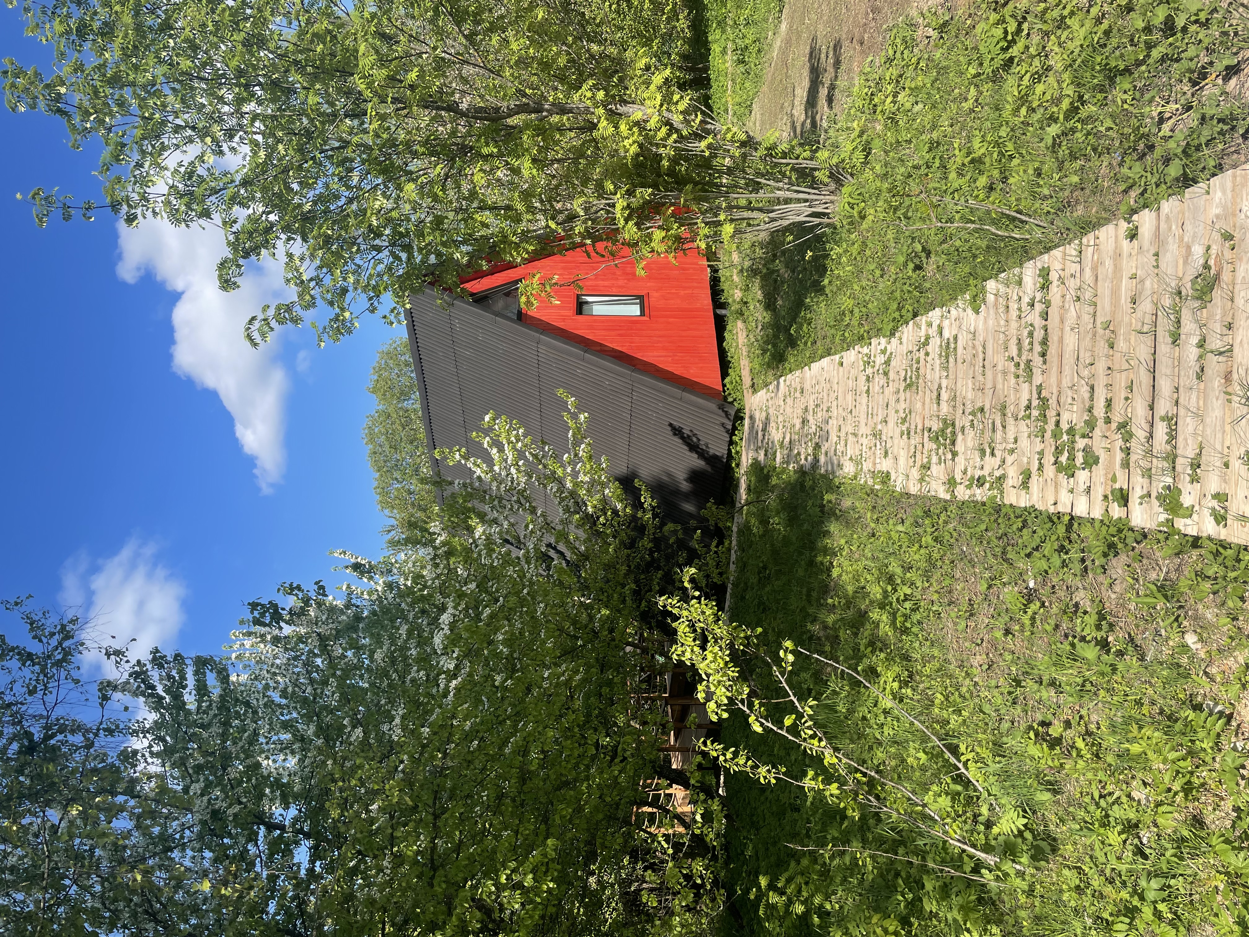 Фото О'Лень