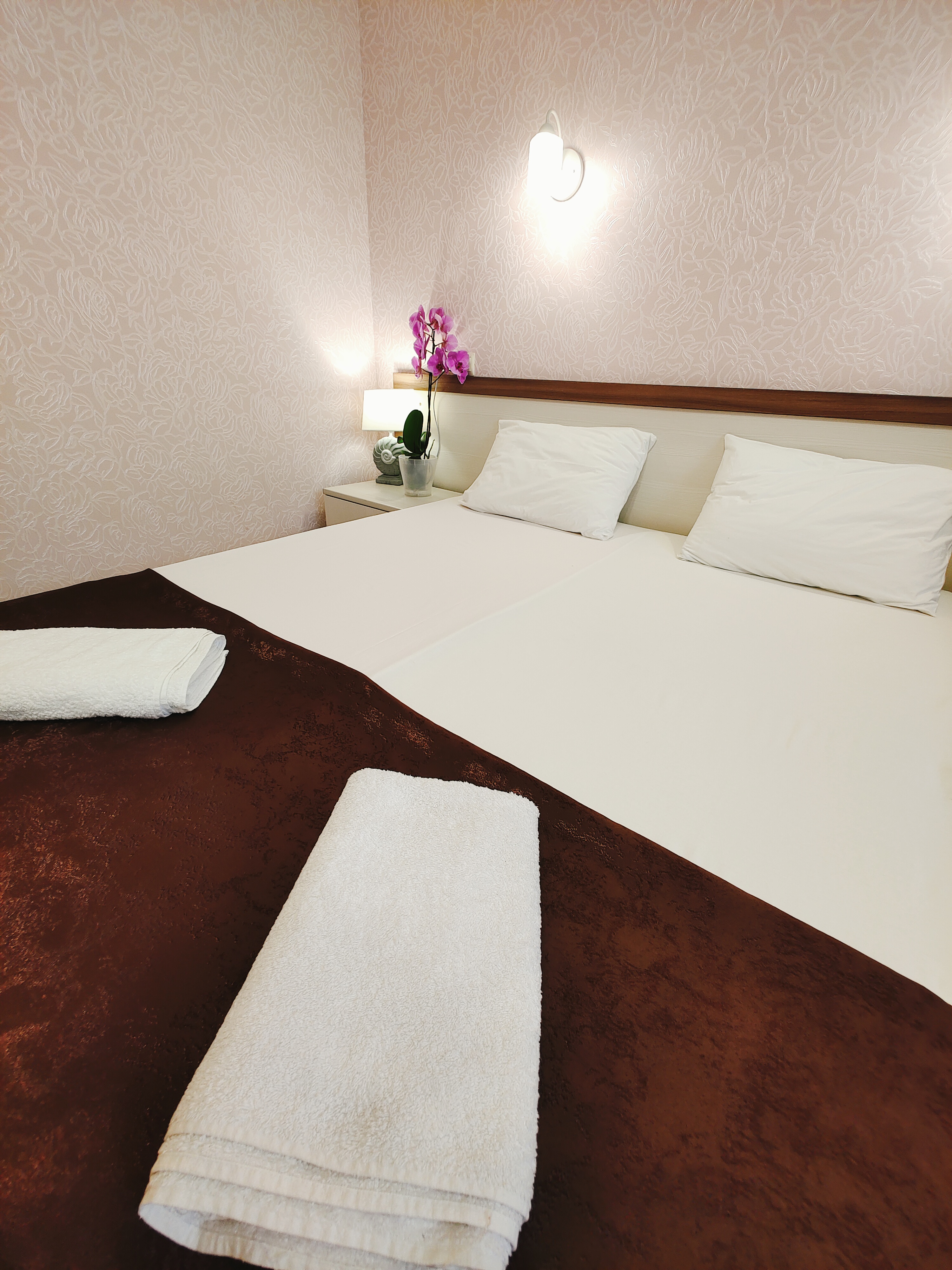 Фото Наутилус