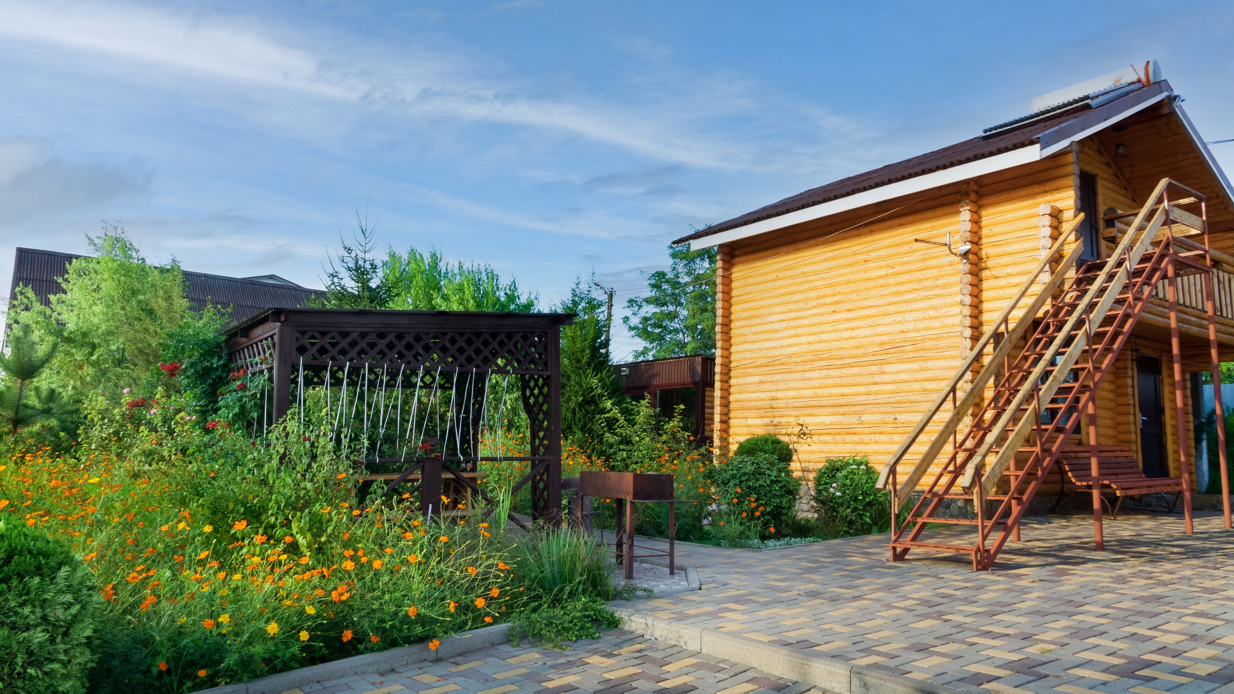 Фото Золотая рыбка