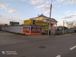 Domkratych (Moskovskaya Street, 31), neumáticos y llantas