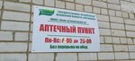 Аптечный пункт № 21 ГП Псковской области Фармация (Oktyabrskaya Street, 41), pharmacy