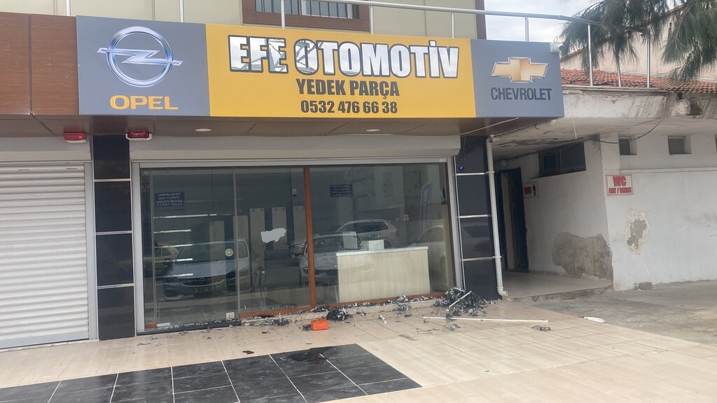 Auto parts and auto goods store Efe Automotive, Izmir, photo