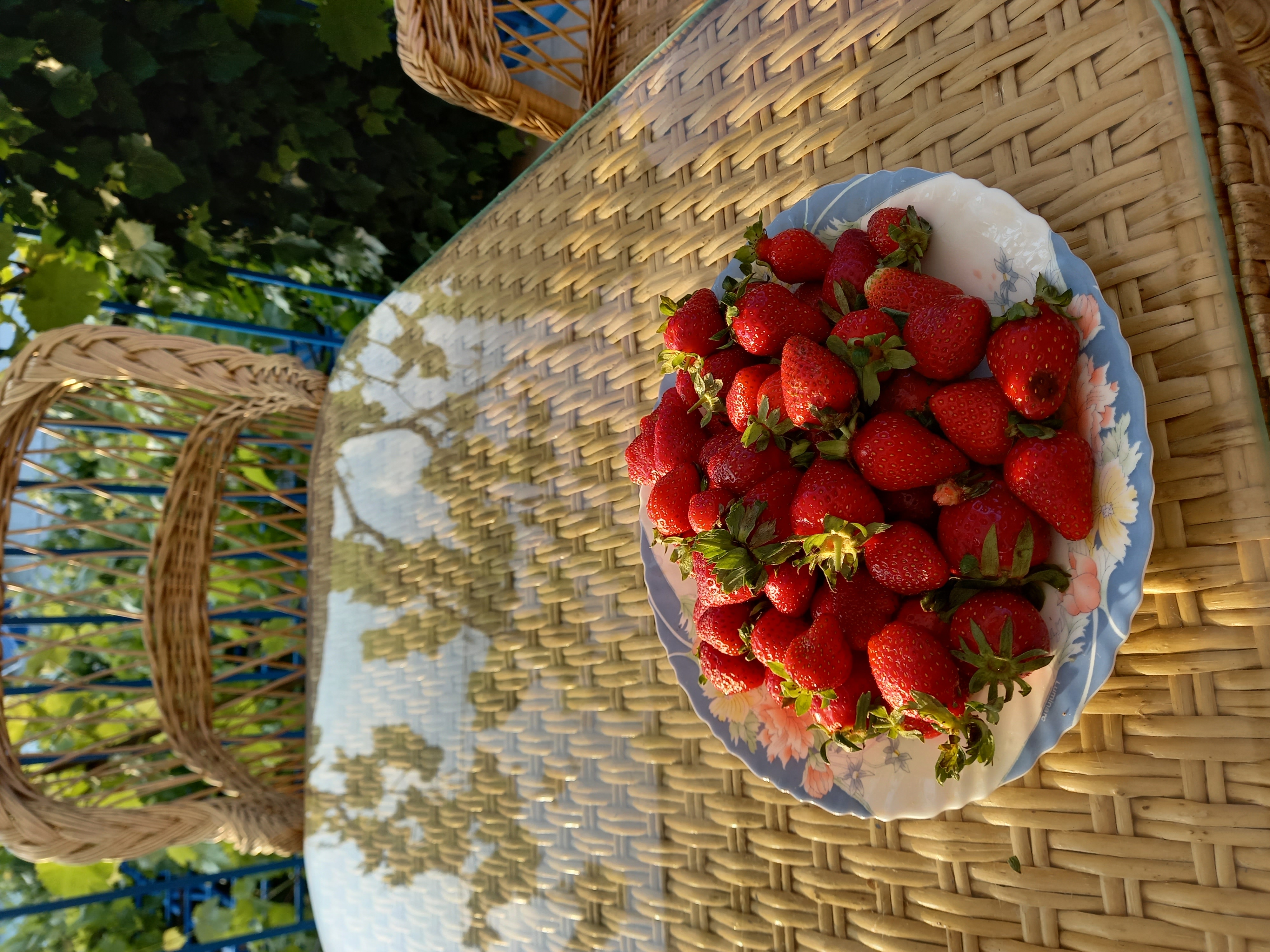 Фото Восточная 9