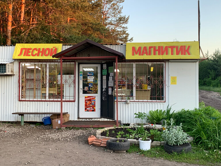 Grocery Лесной магнитик, Samara, photo
