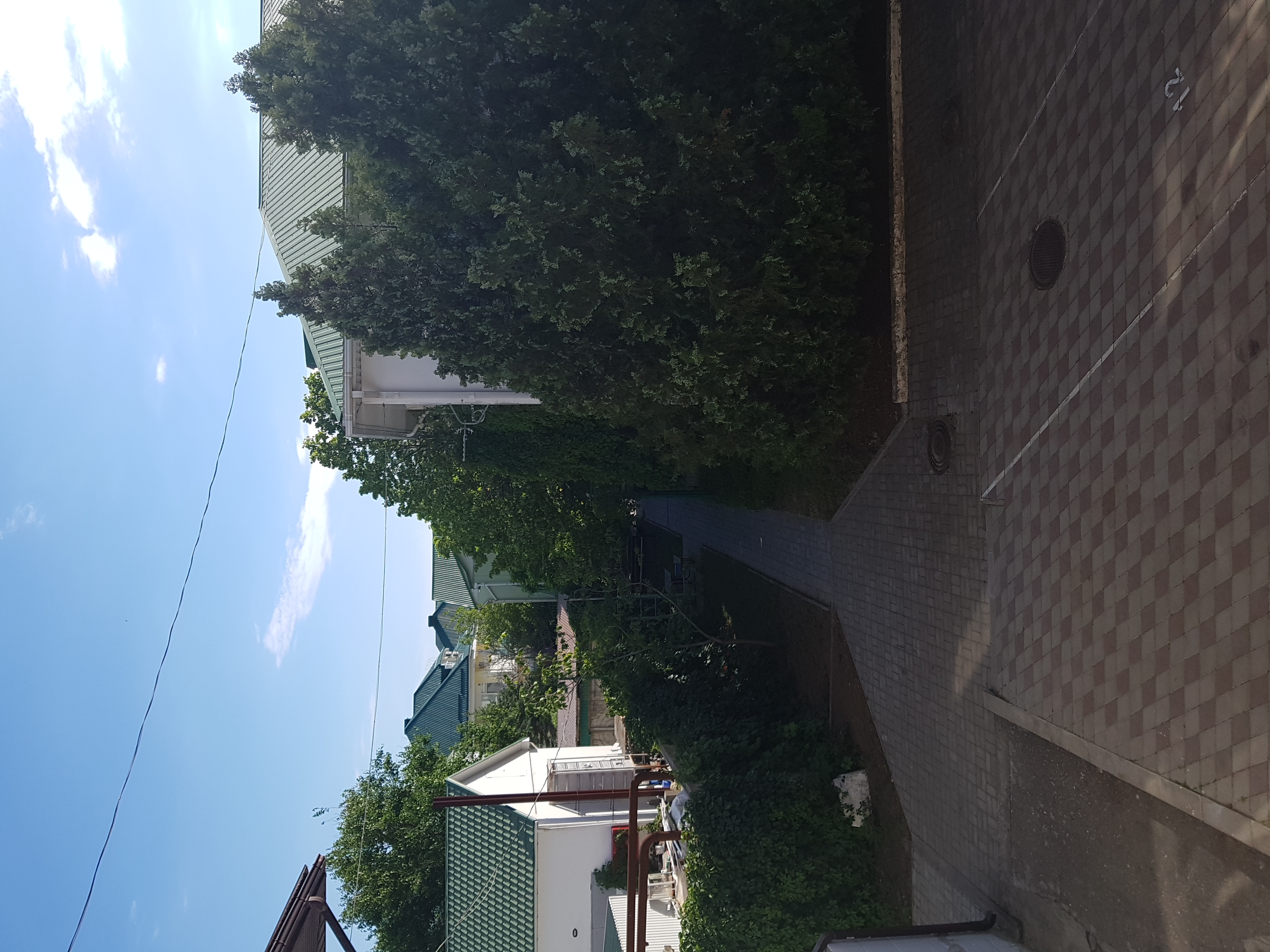 Фото Лукоморье