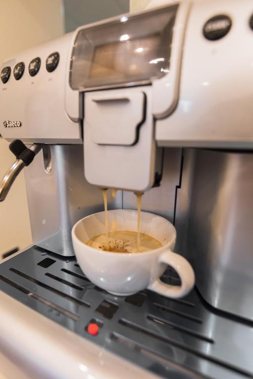 Фото Magic Circus