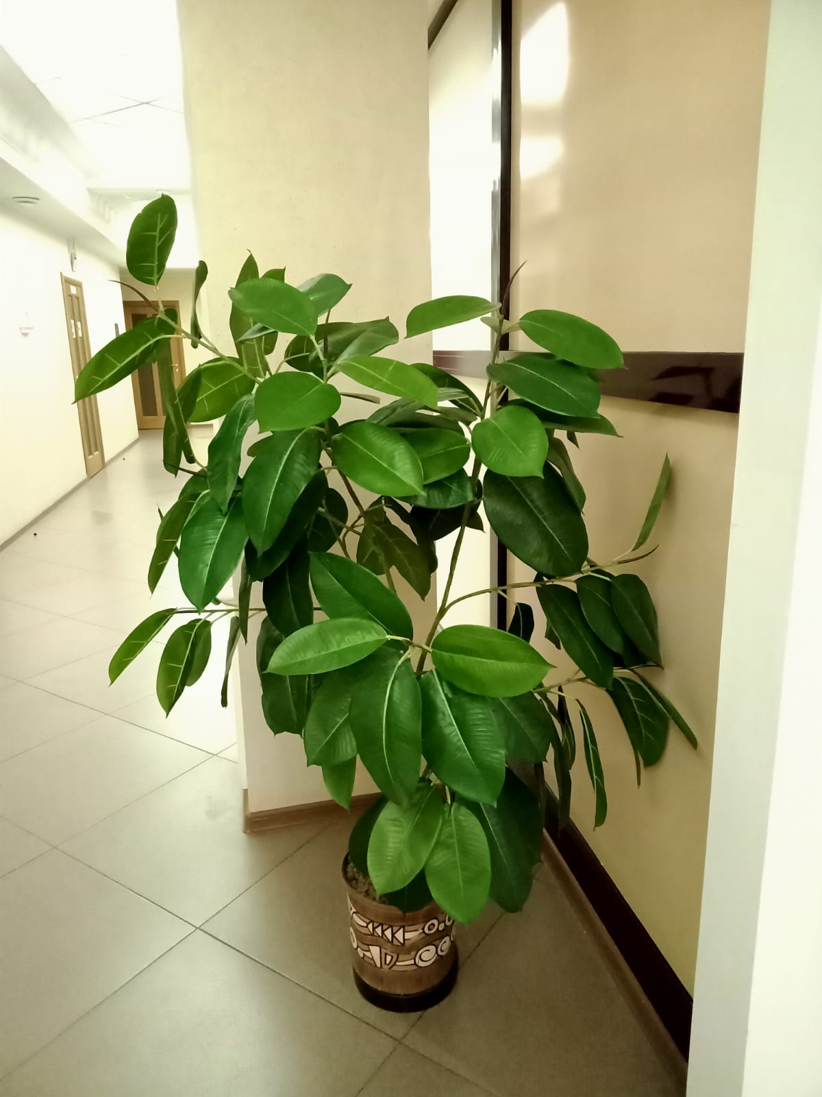 Фото Премьер