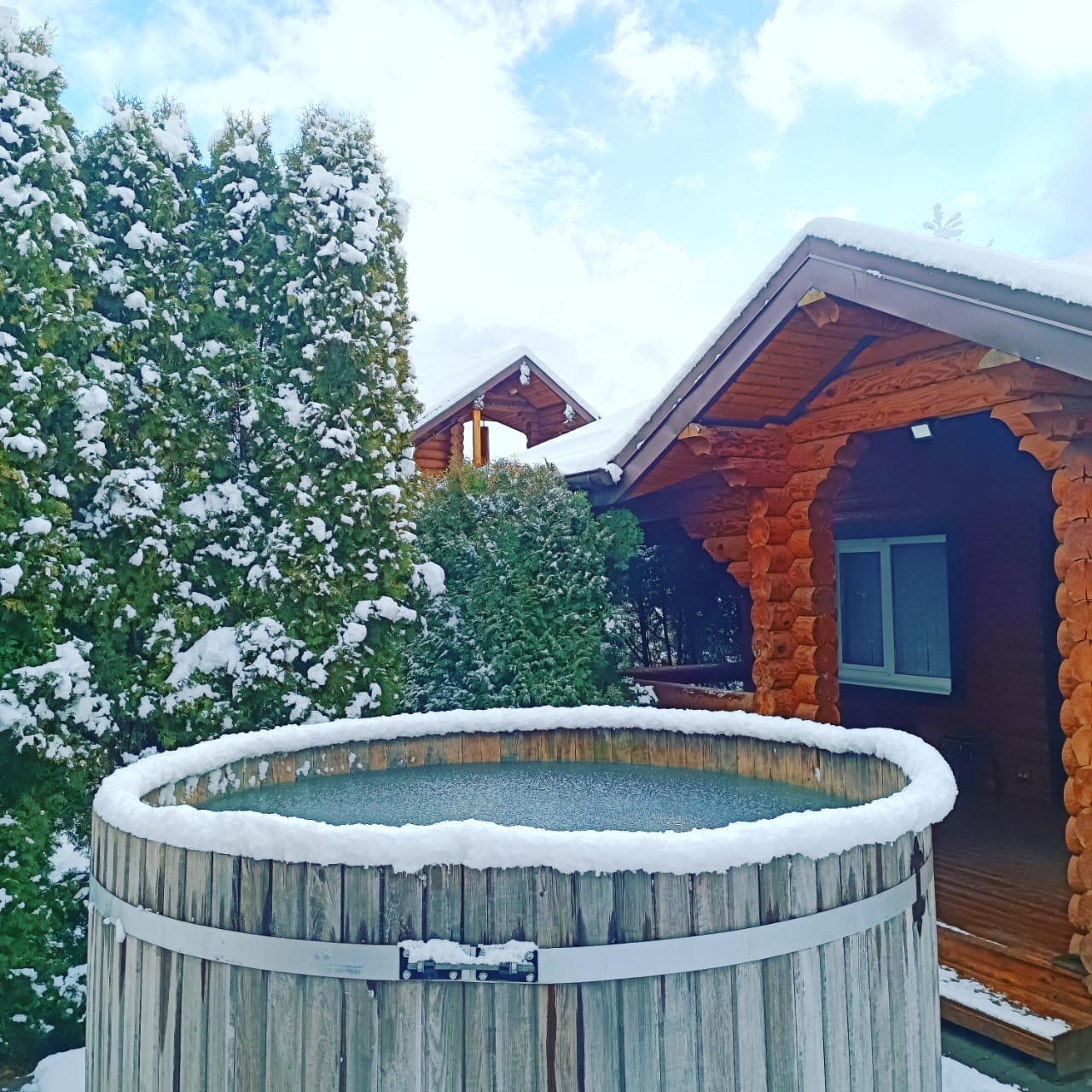 Фото Вербена