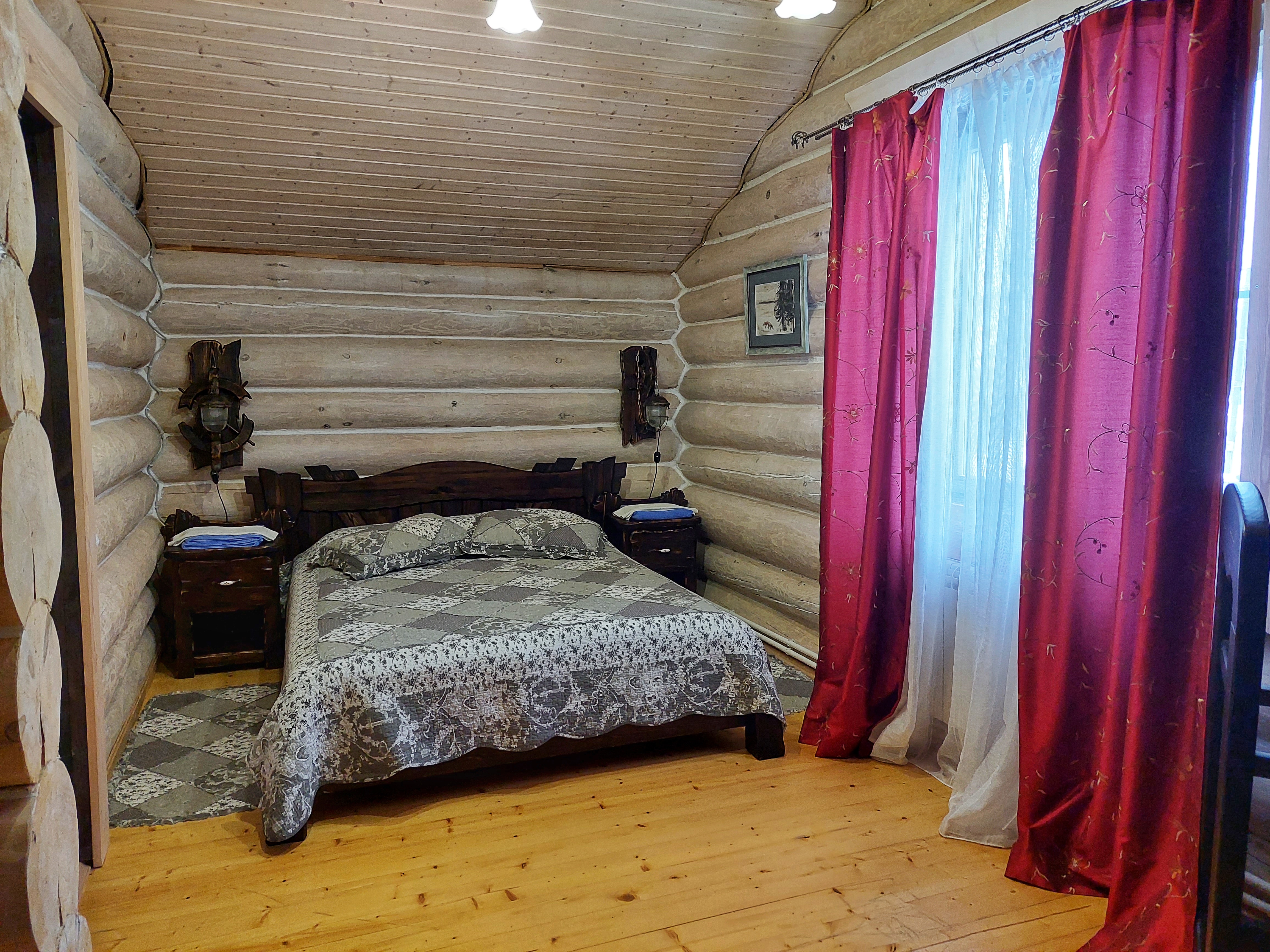 Фото Сорока