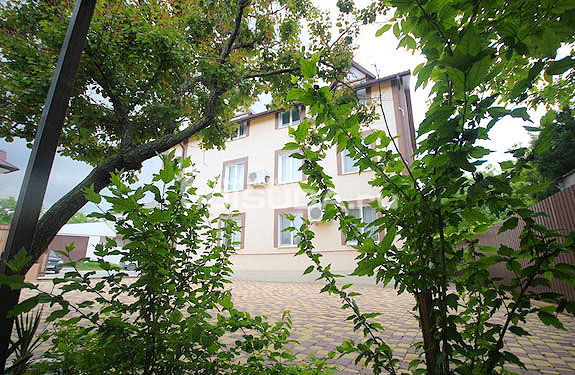 Фото Южный Платан