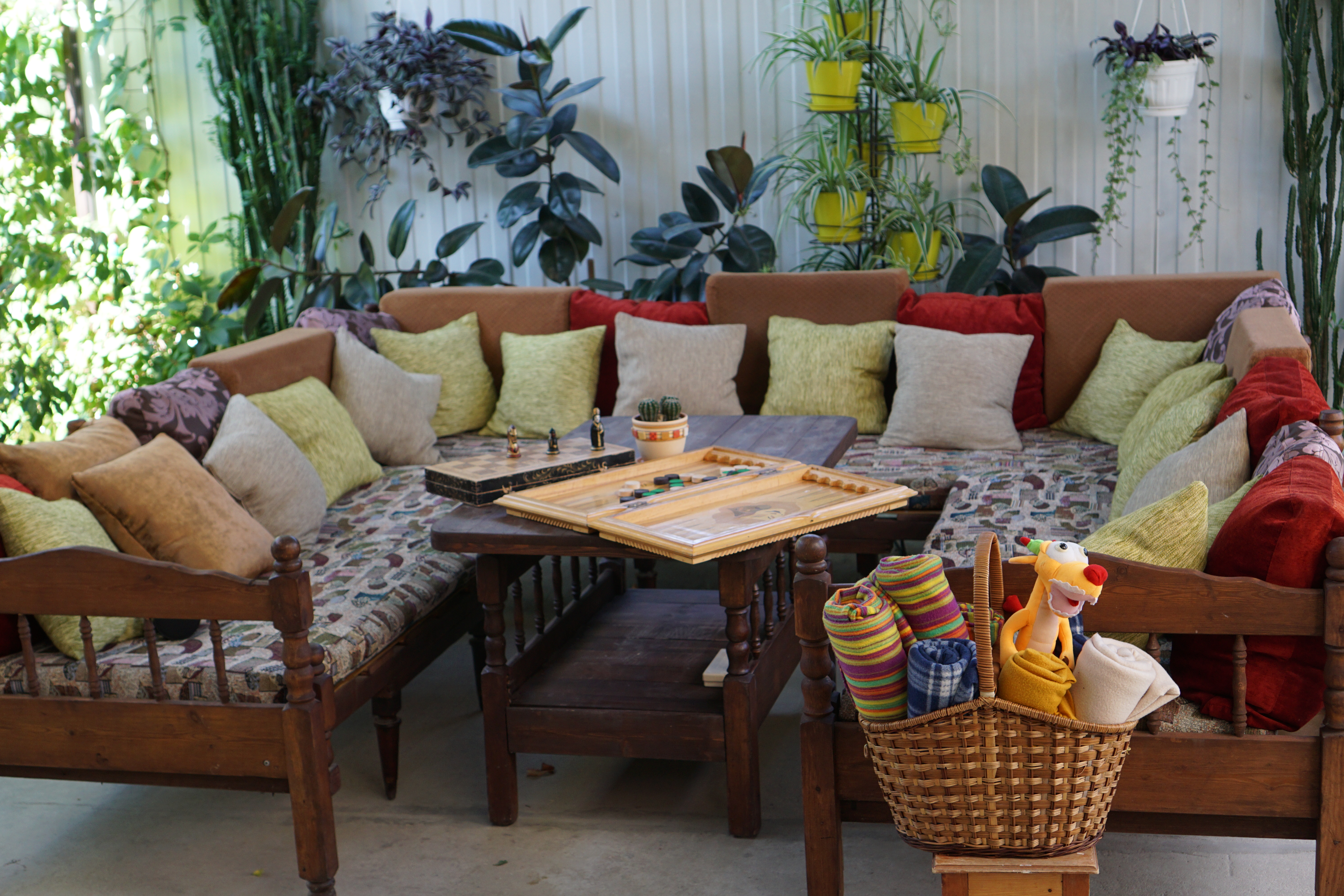 Фото Кофейное дерево