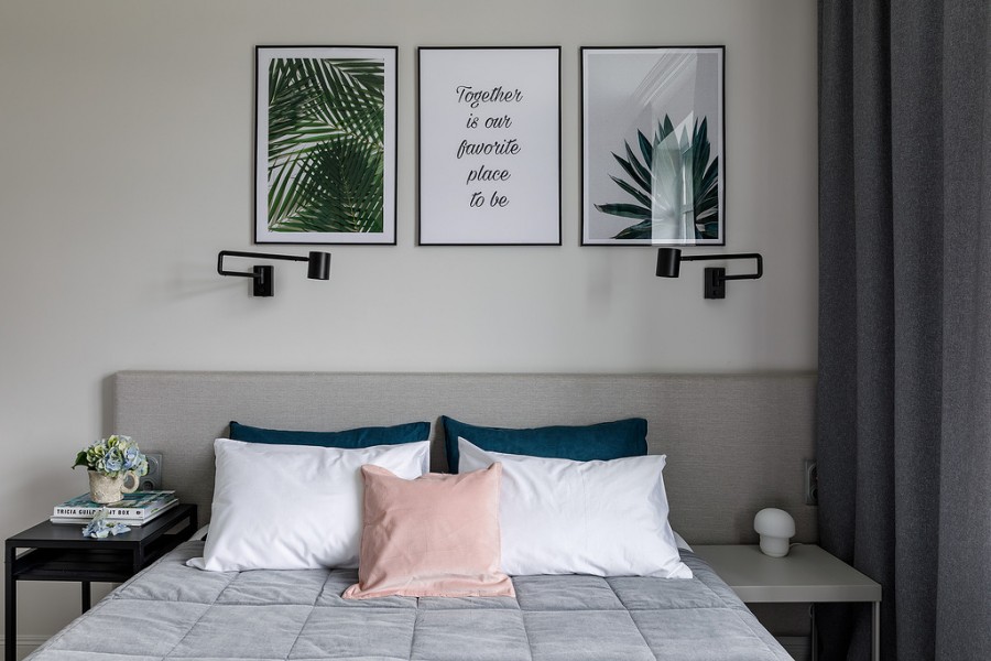 Фото Абрикосовое дерево Елагин