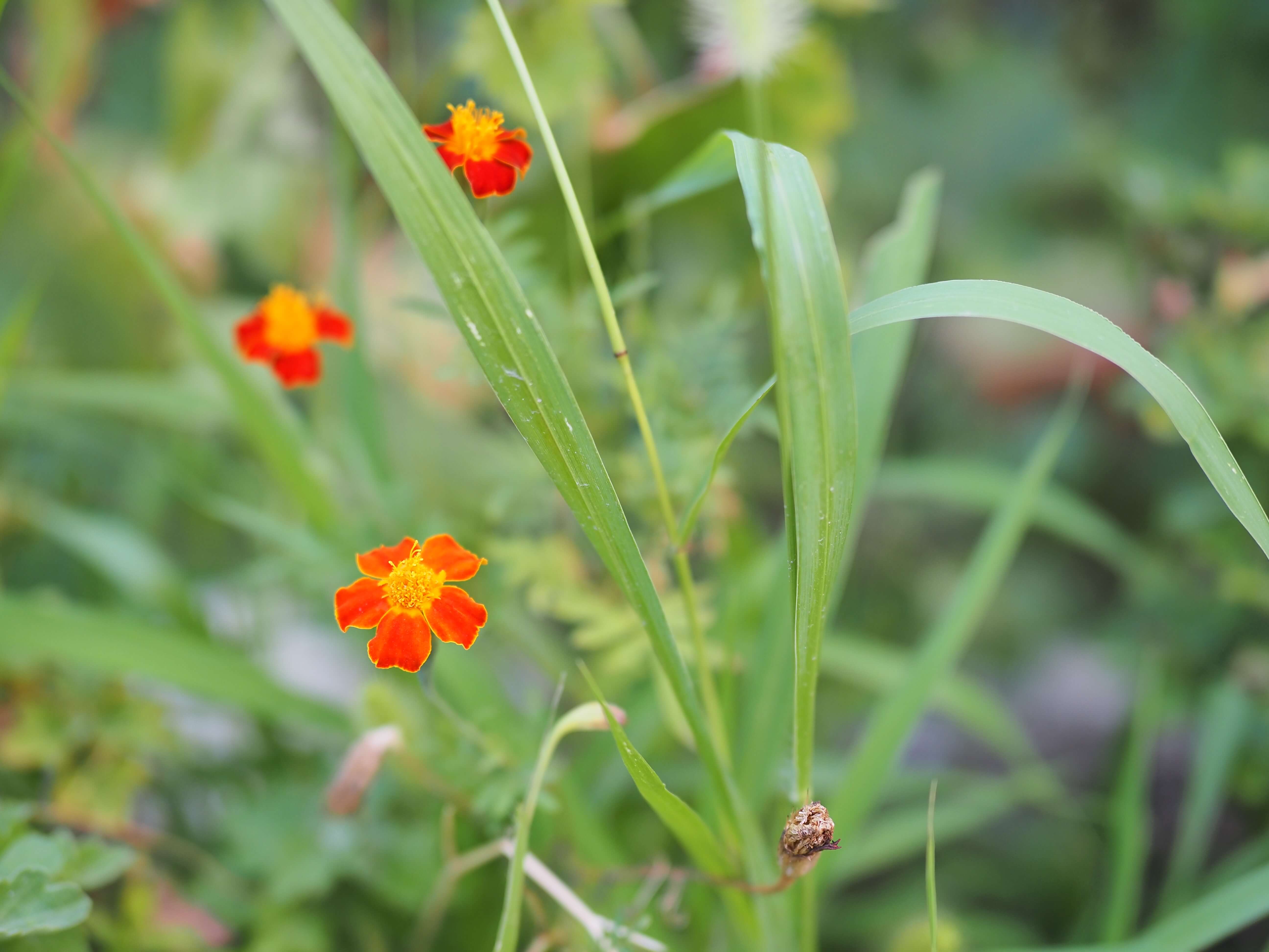 Фото Дом возле реки