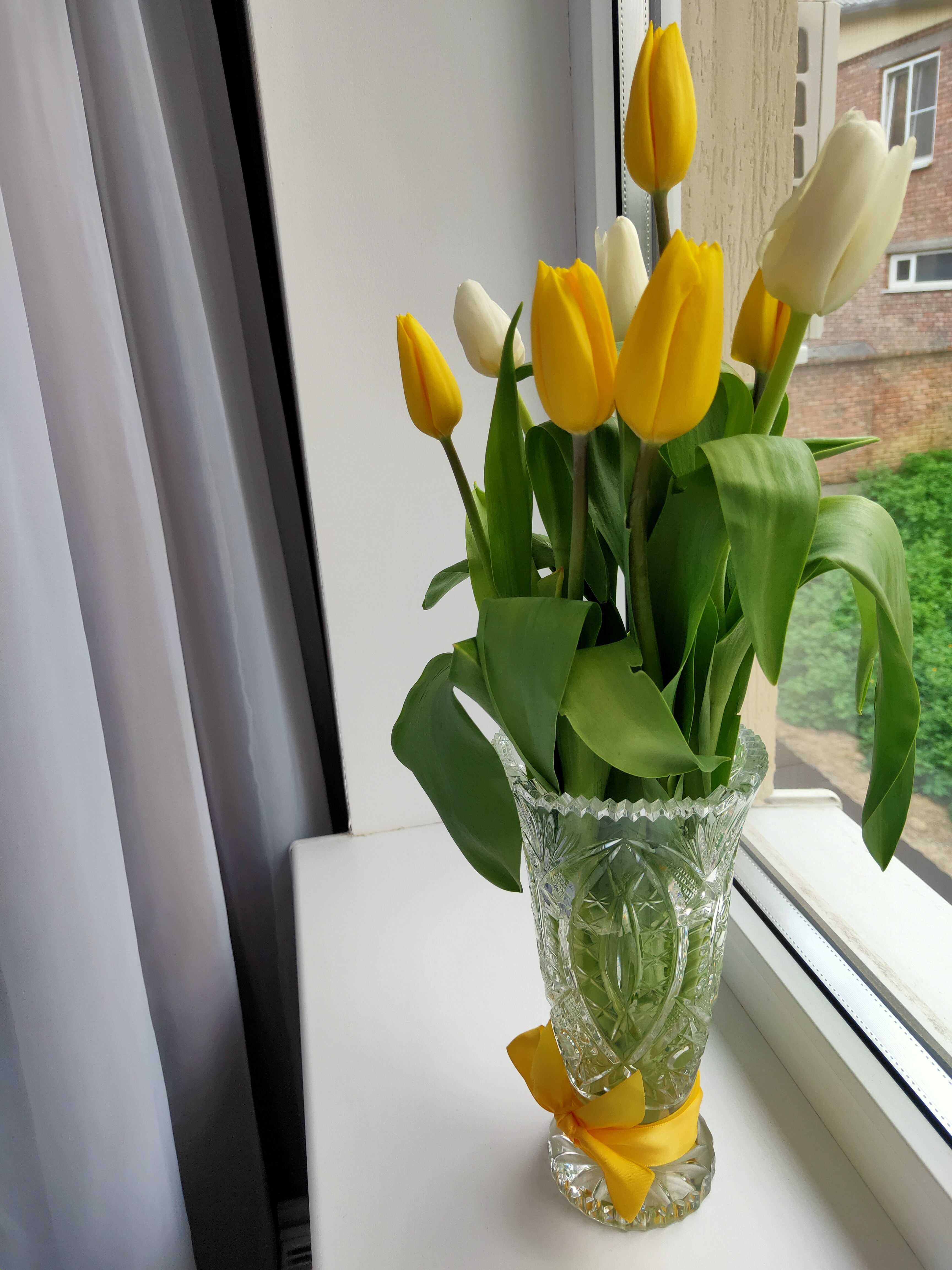 Фото Магия КМВ