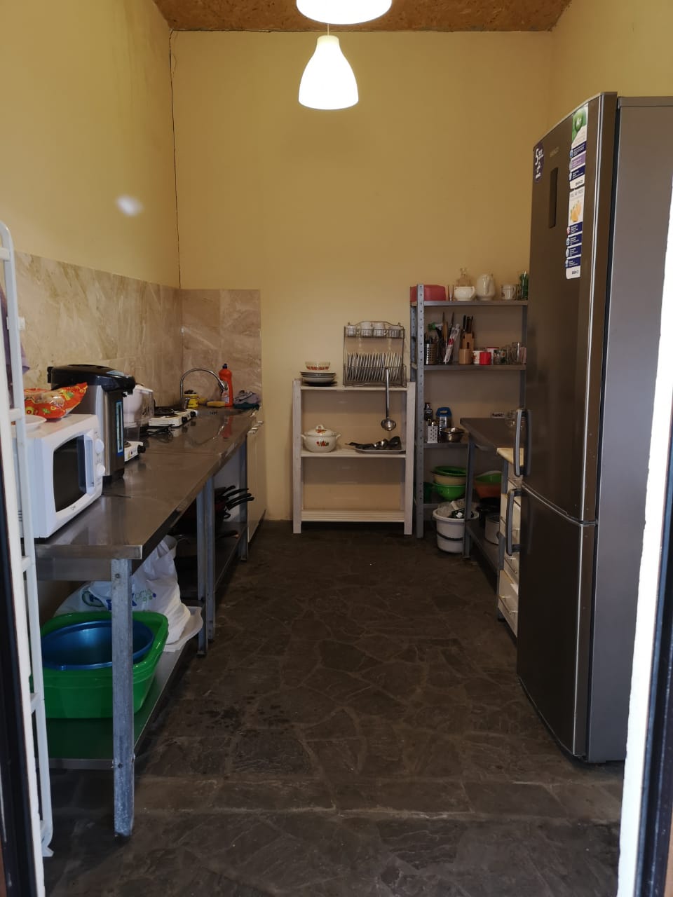 Фото Магнолия