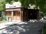 Wild Dog (ulitsa Engelsa, 50), bar, pub