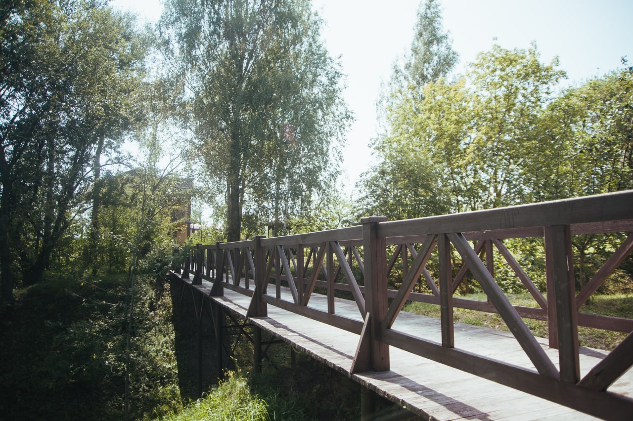 Фото Елисеевы поля