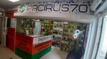 Pacirus70 (Sergeya Lazo Street, 16), phone repair