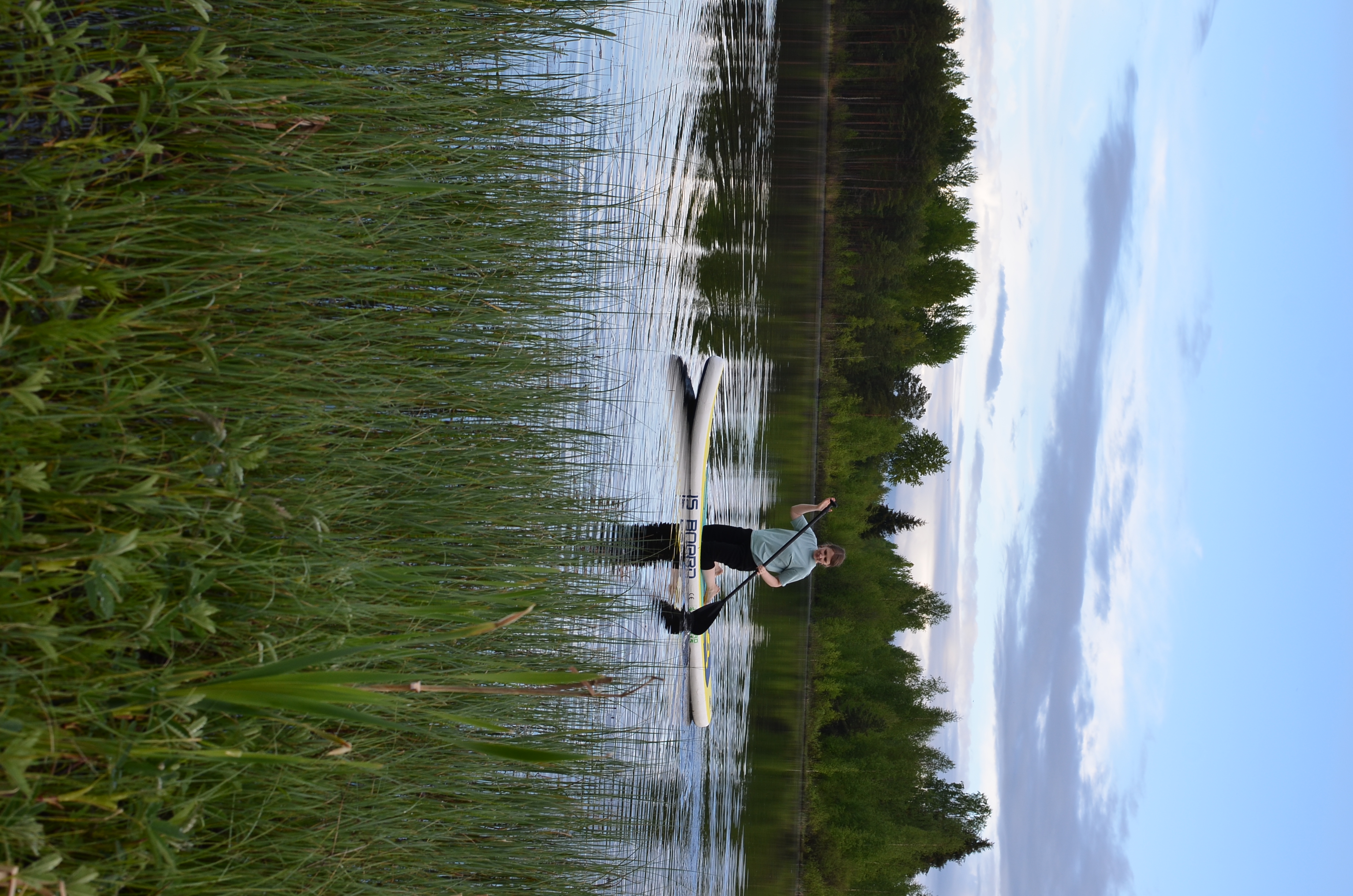 Фото ForrestHome