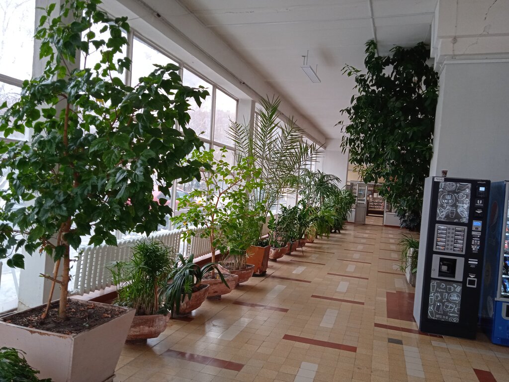 College Tolyattinsky muzykalny kolledzh imeni R. K. Shchedrina, Togliatti, photo
