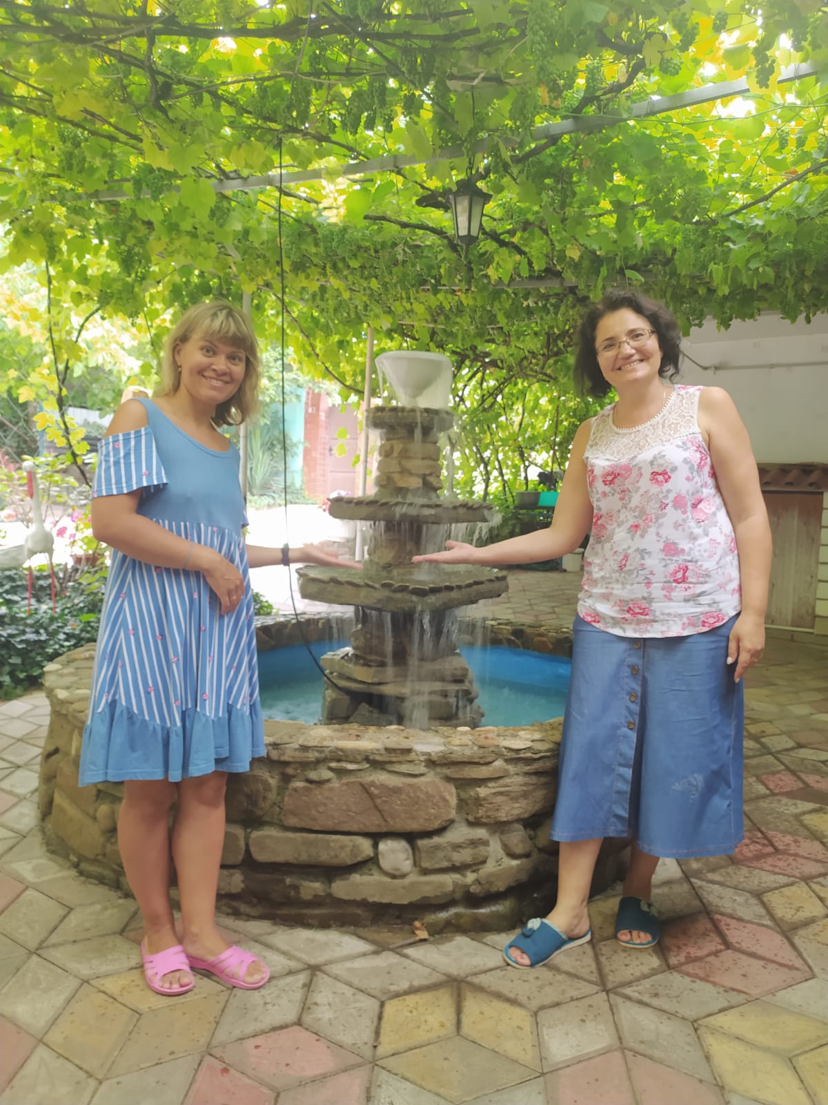 Фото Черноморская лоза