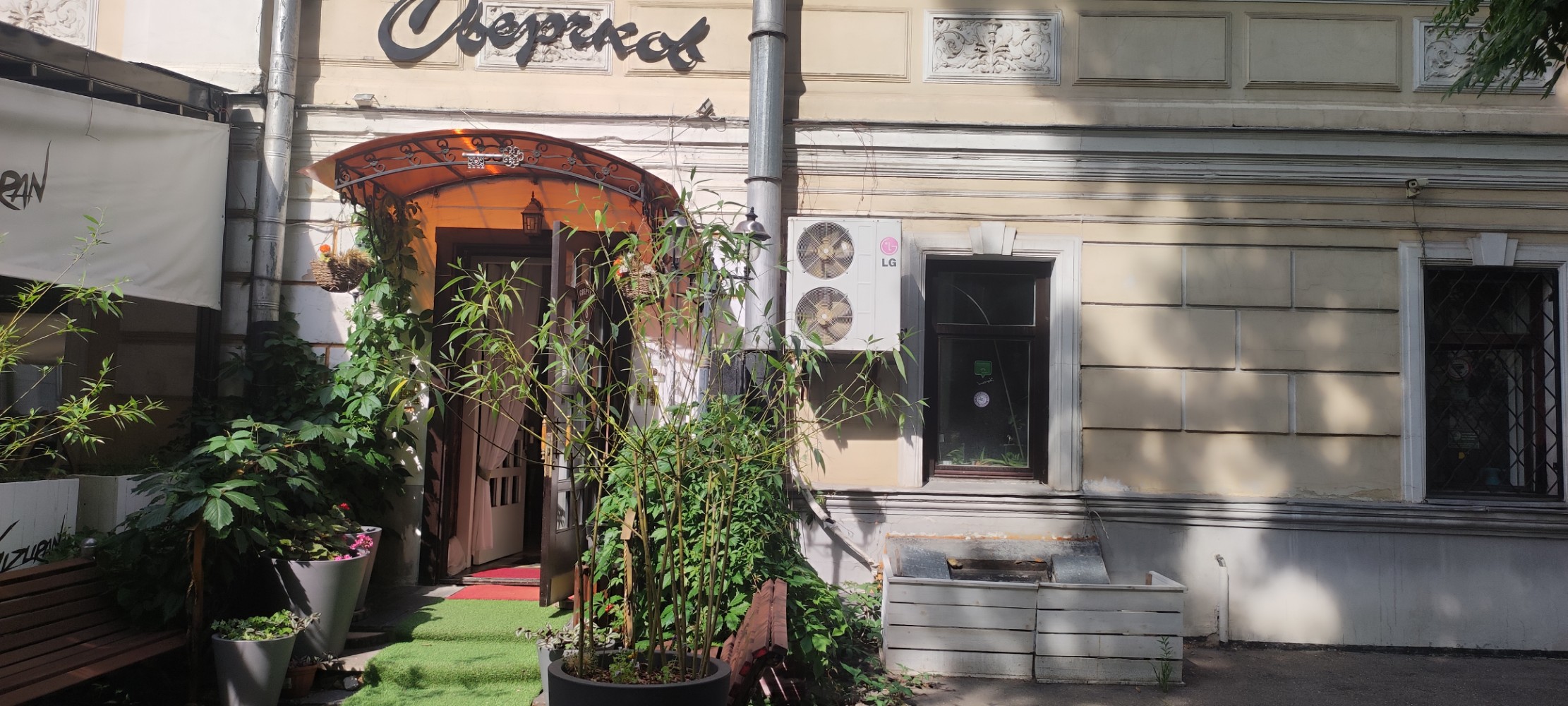 Фото Сверчков 8