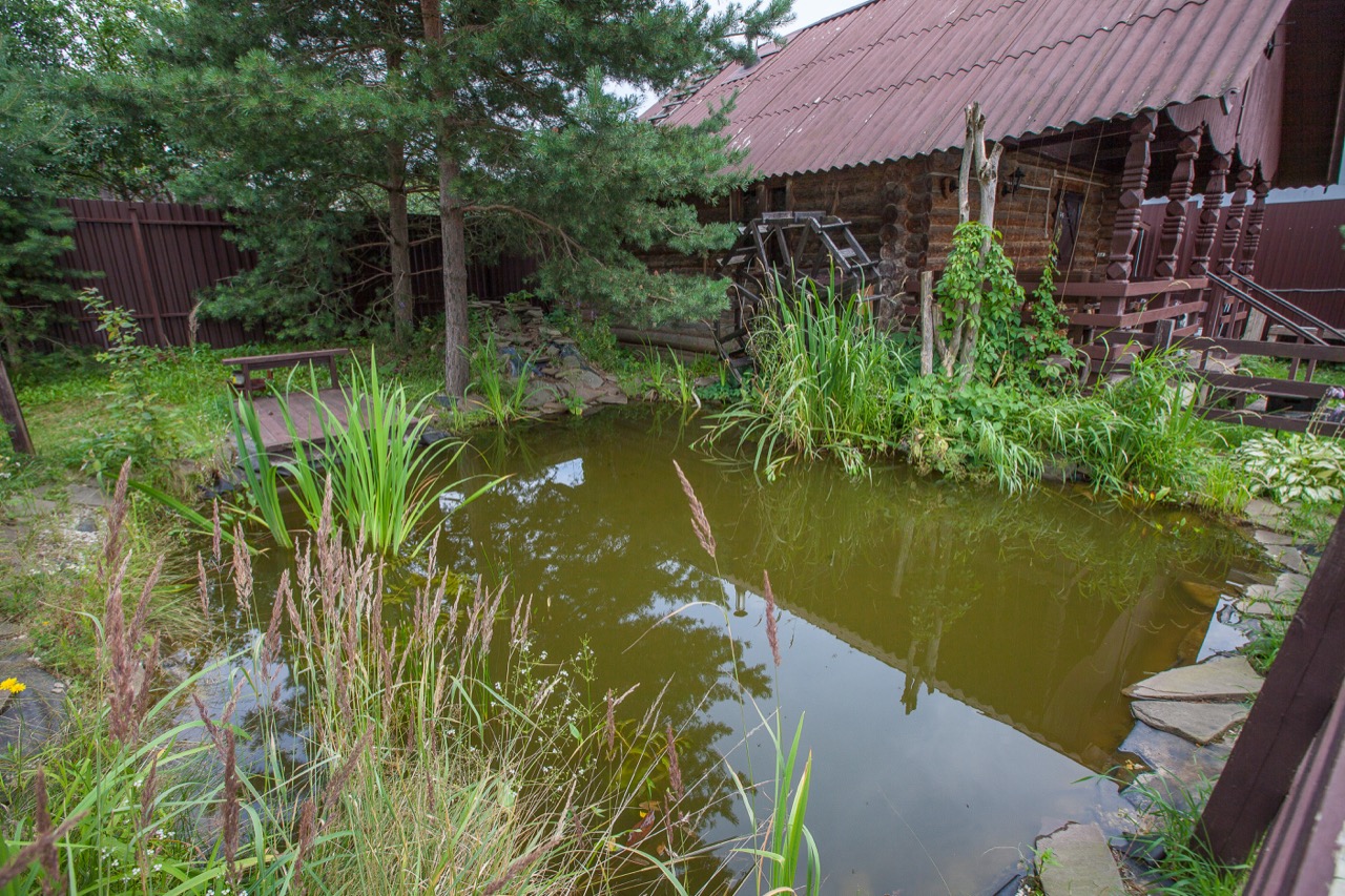 Фото Куршале
