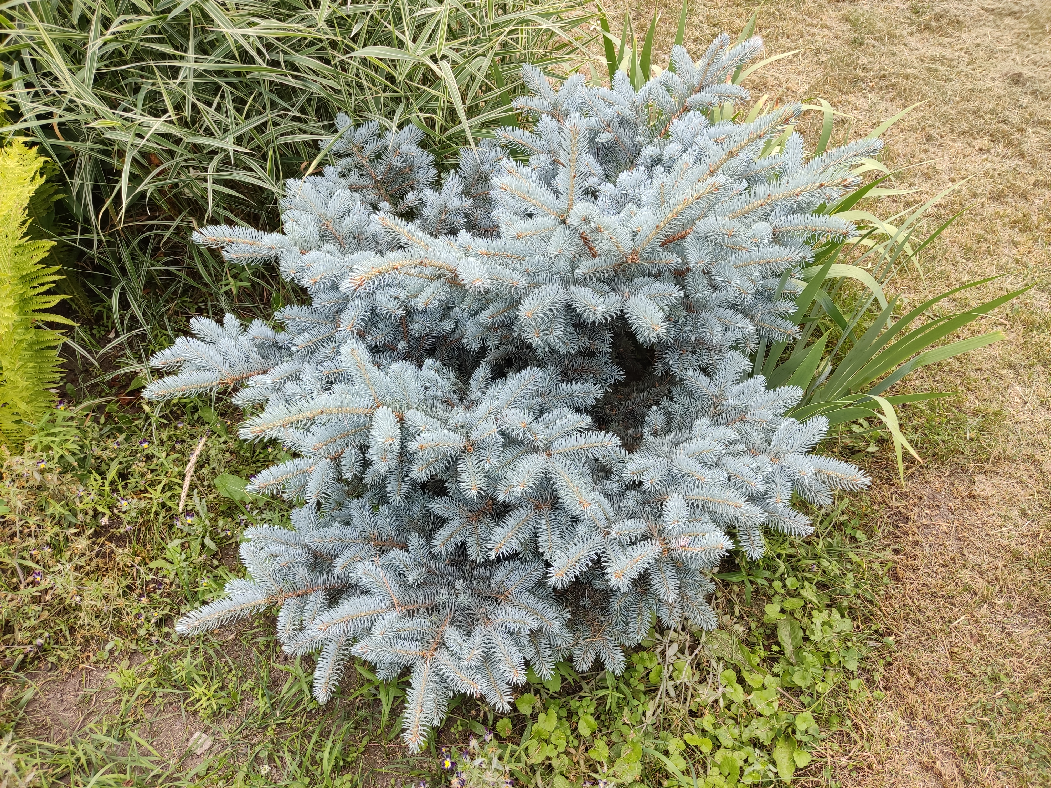 Фото Усолье