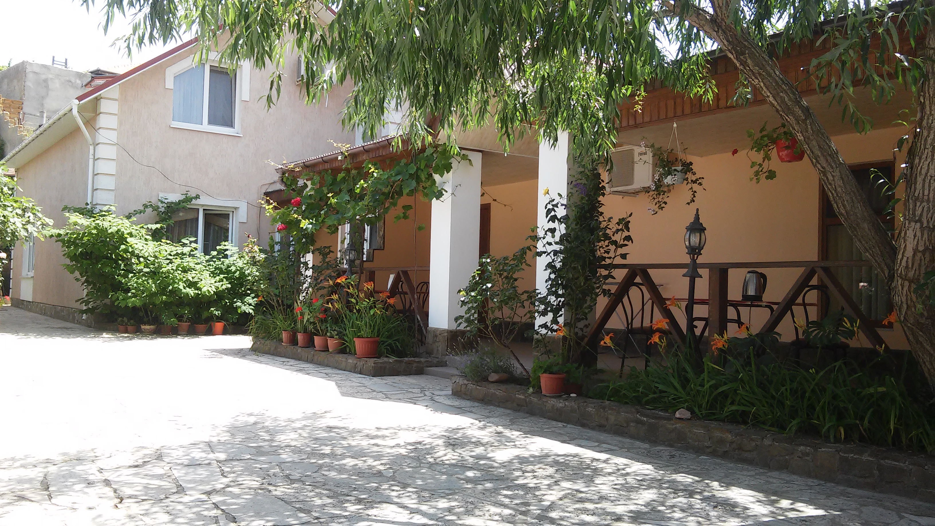 Фото Глициния