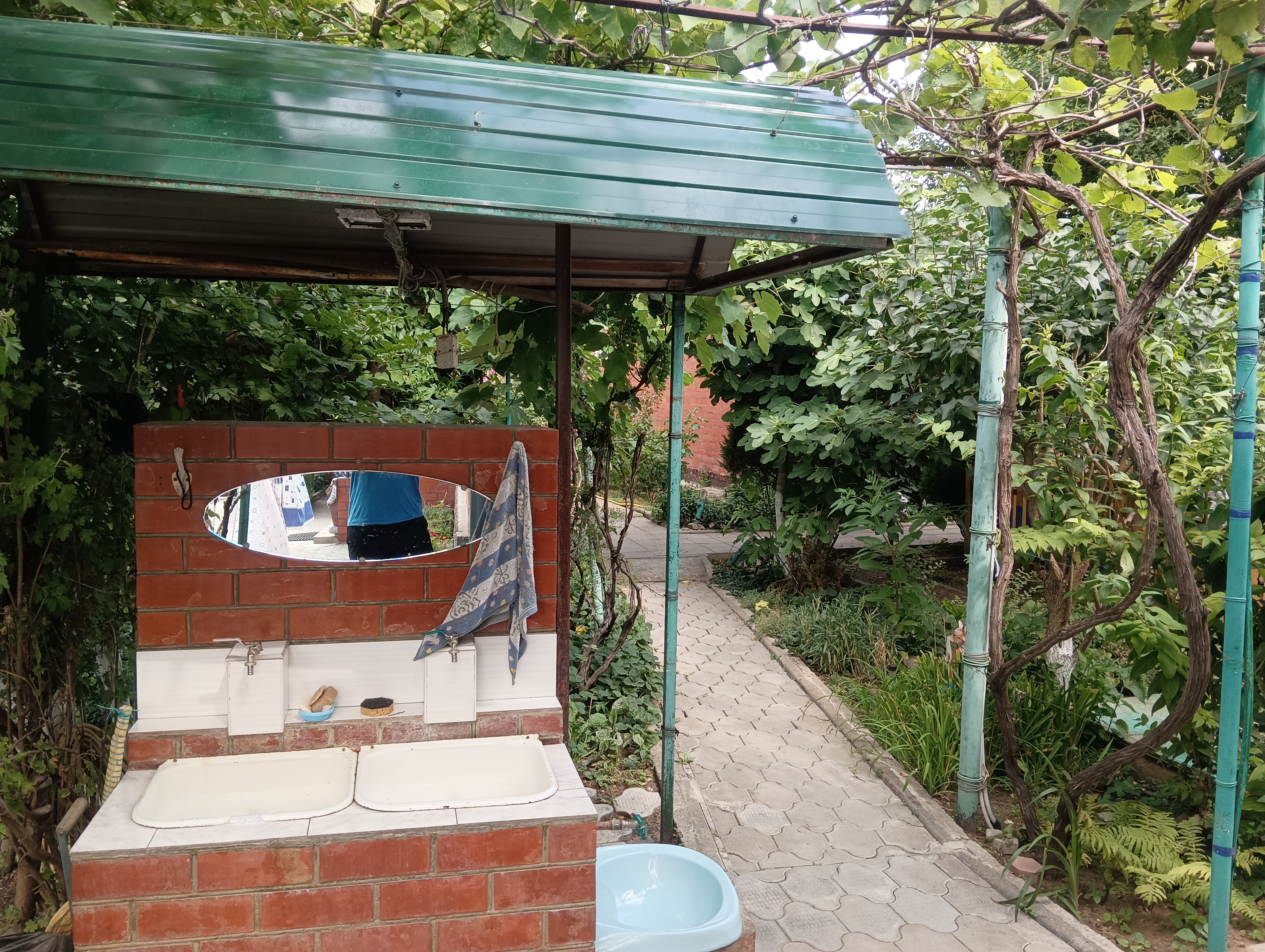 Фото Астери