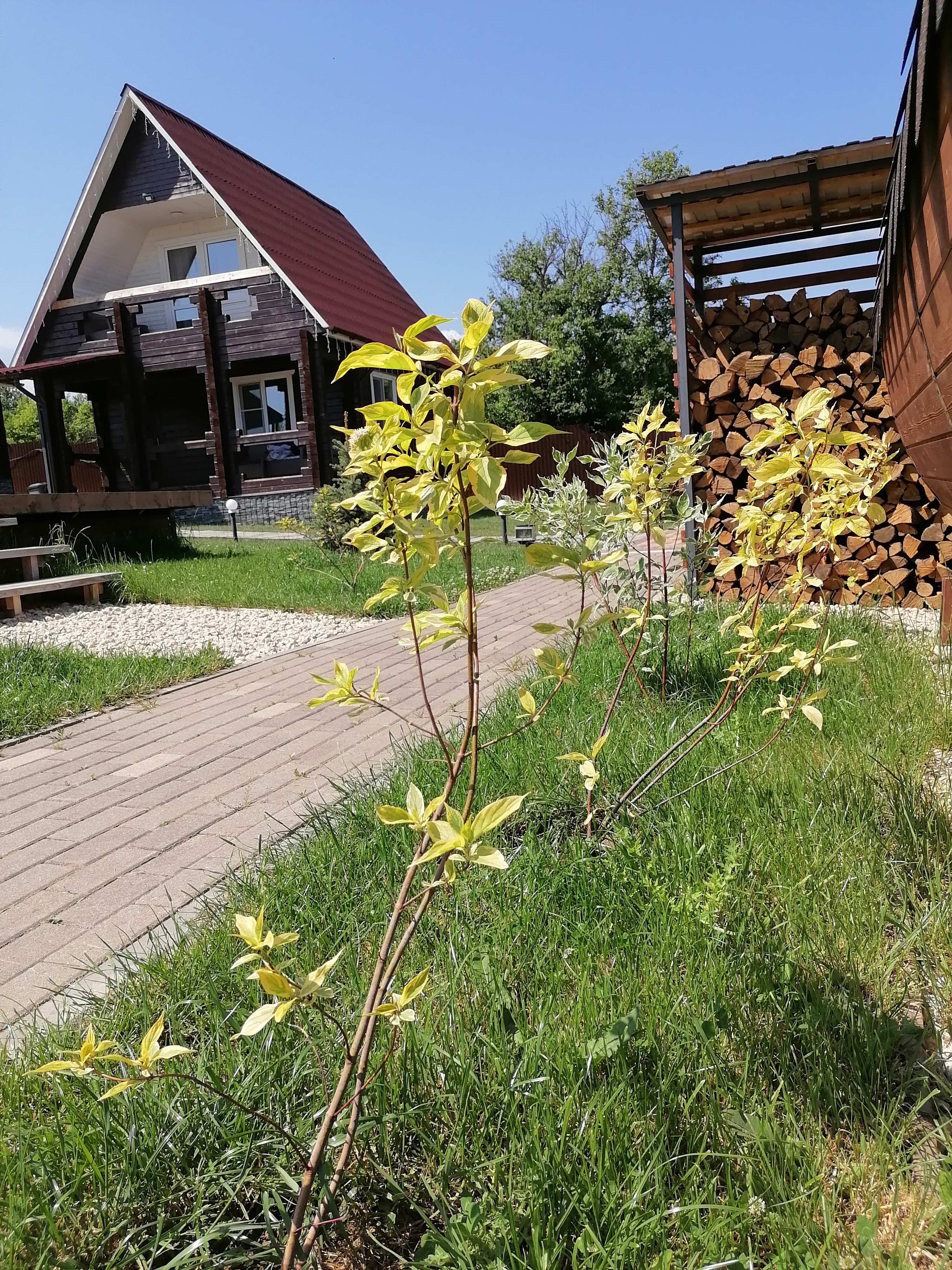 Фото Усадьба Дон