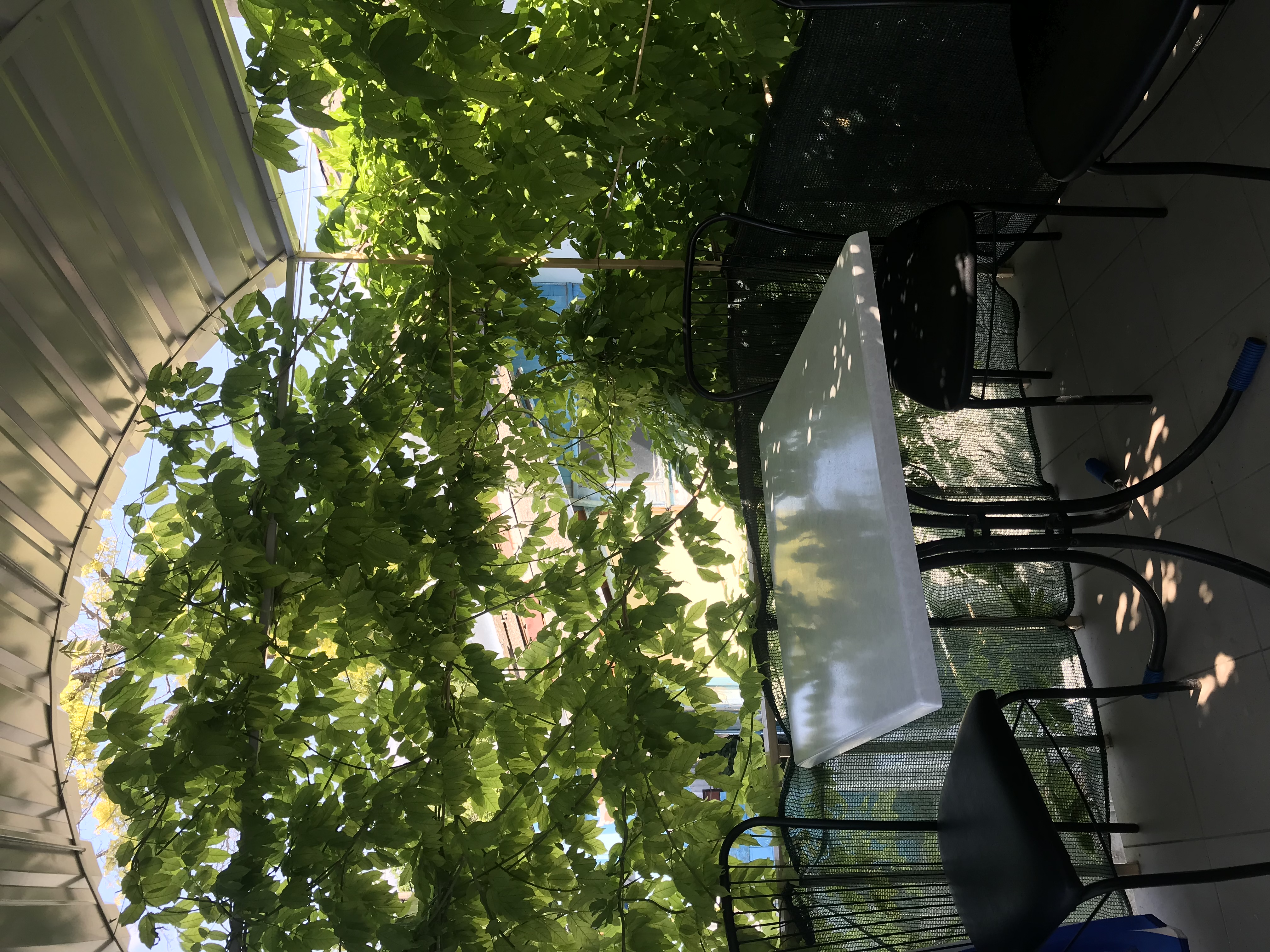 Фото Krymskiy Dvorik