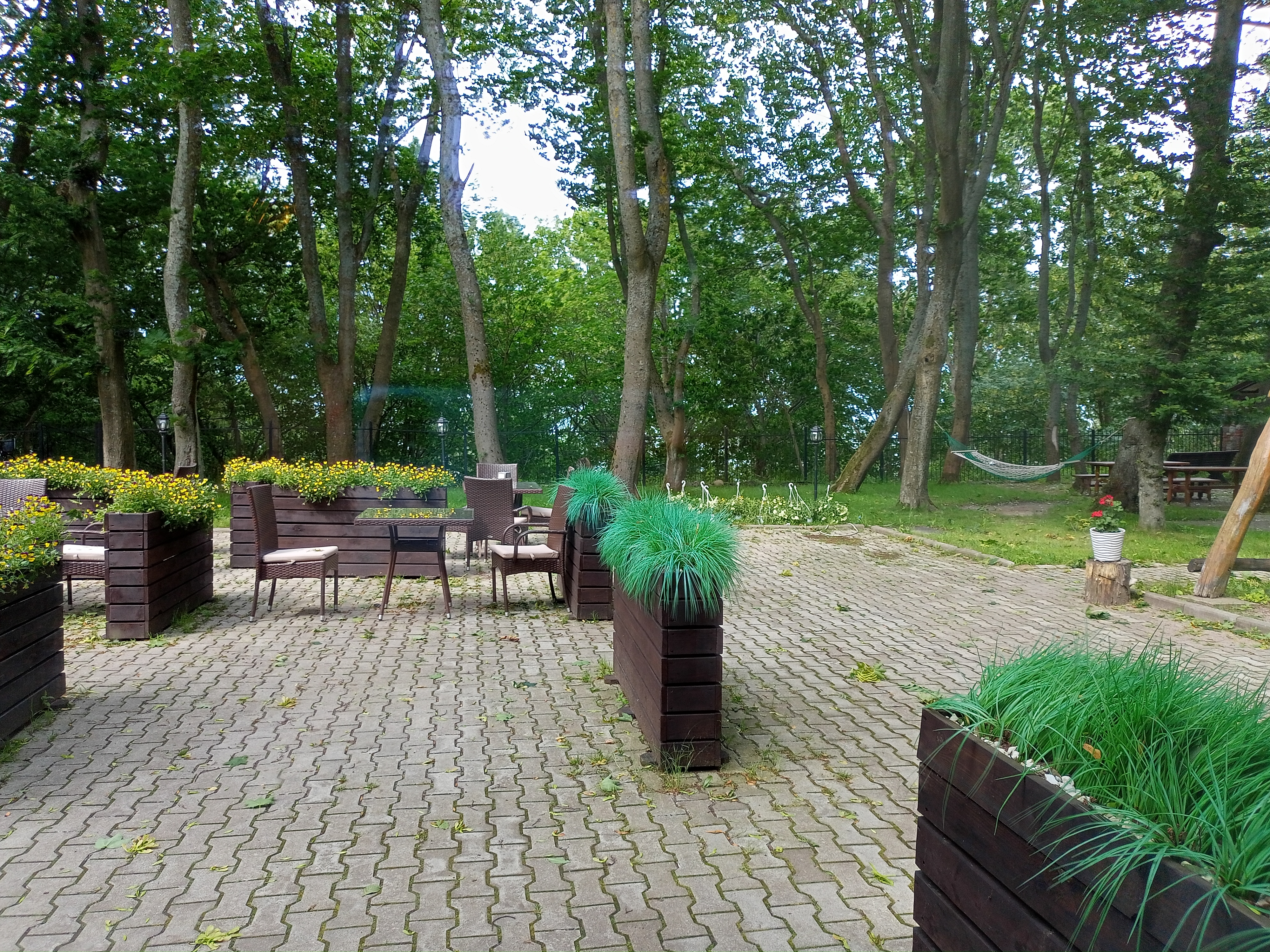 Фото Высокий берег