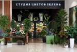 Zelen (Saint Petersburg, Savushkina Street, 126), flowers and bouquets delivery