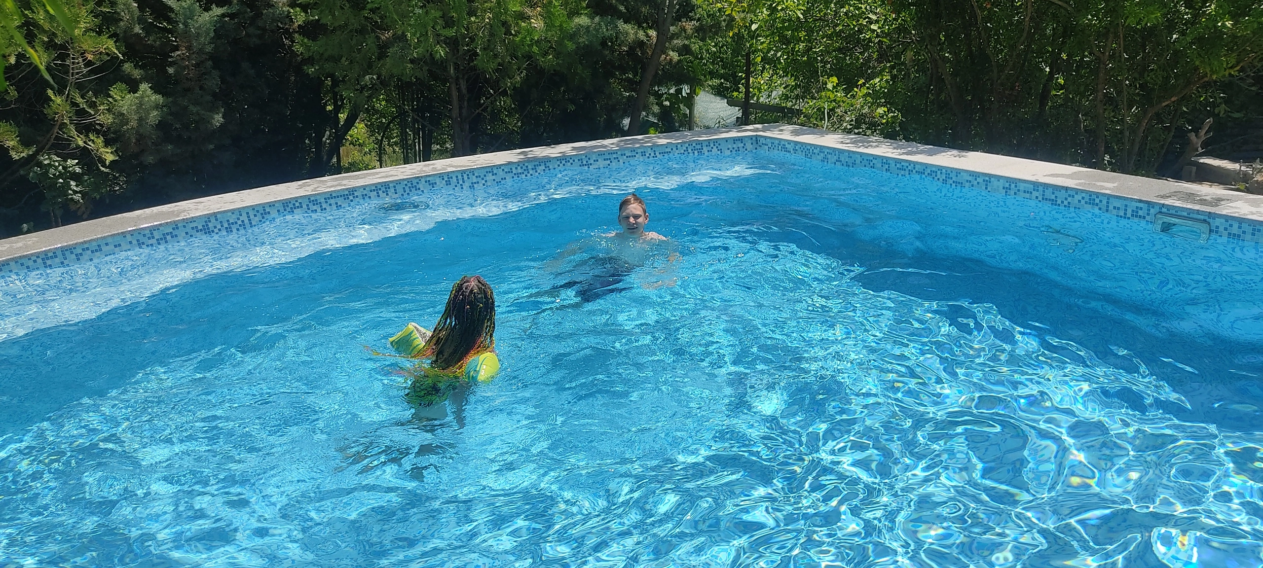 Фото Кипарис